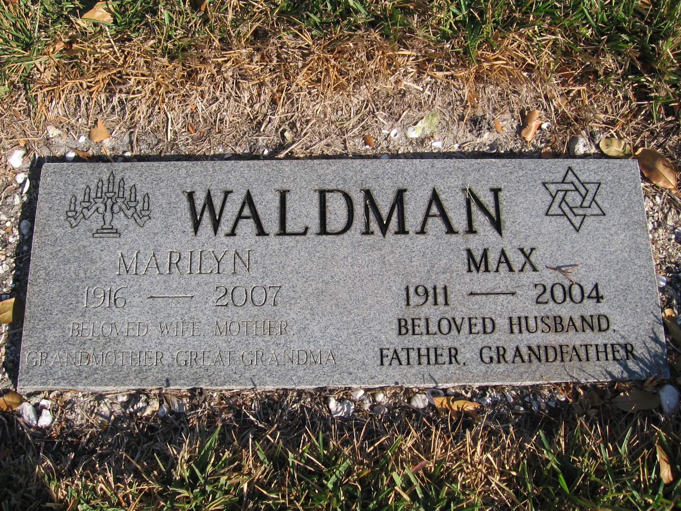 Max Waldman