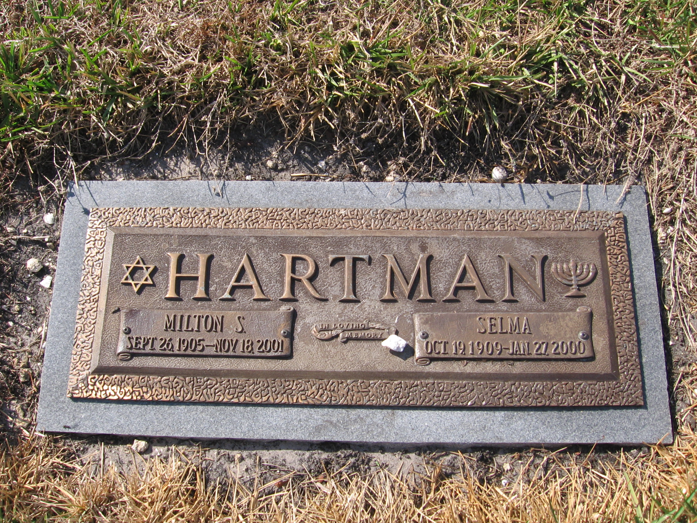 Milton S Hartman