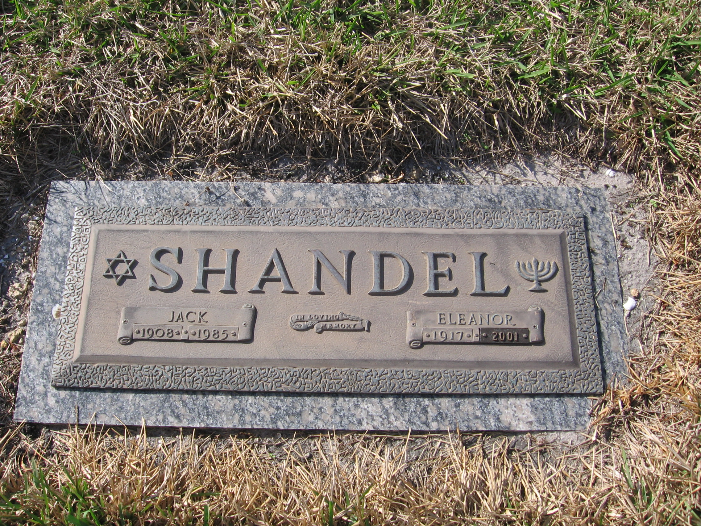 Jack Shandel