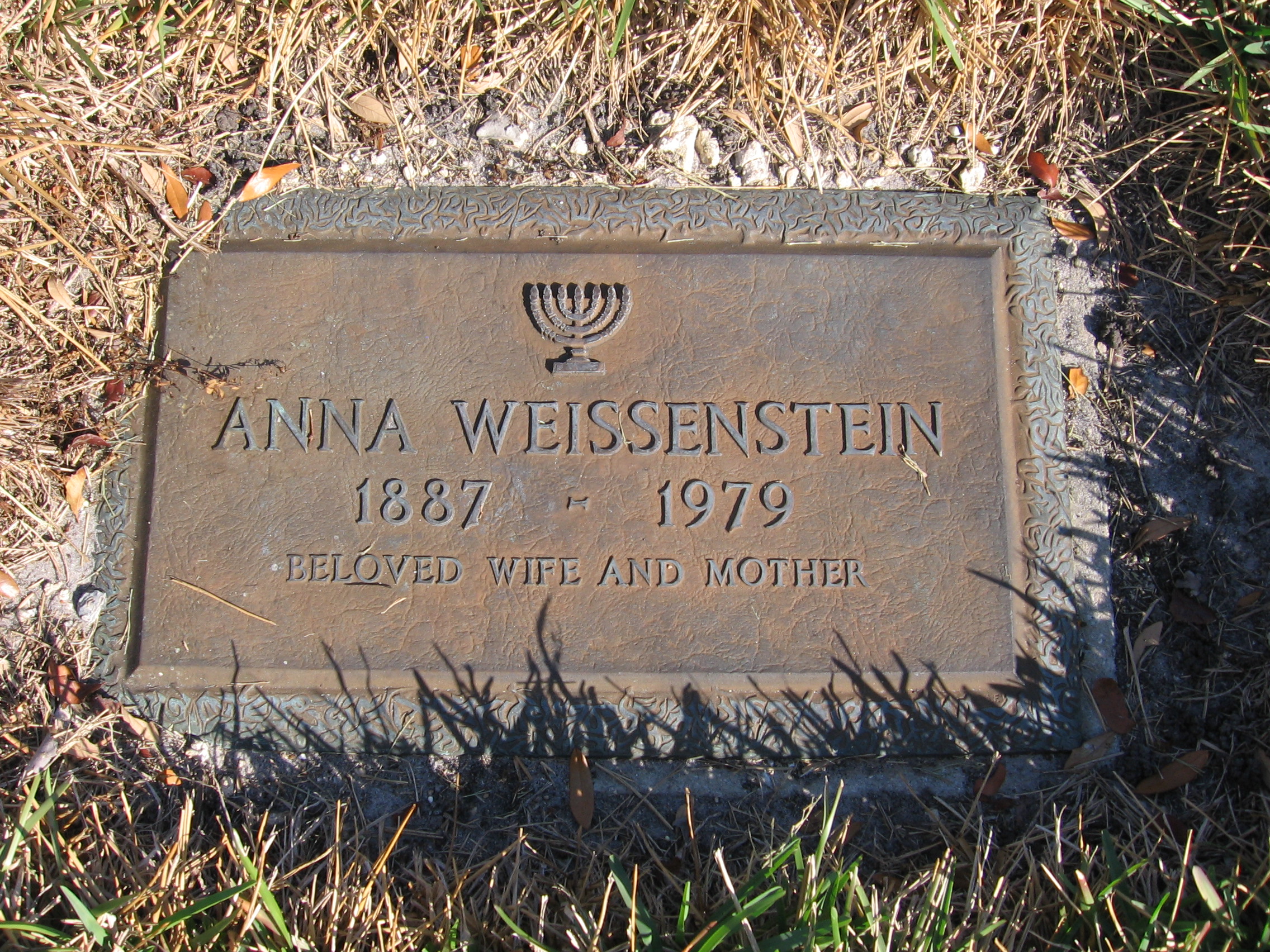Anna Weissenstein