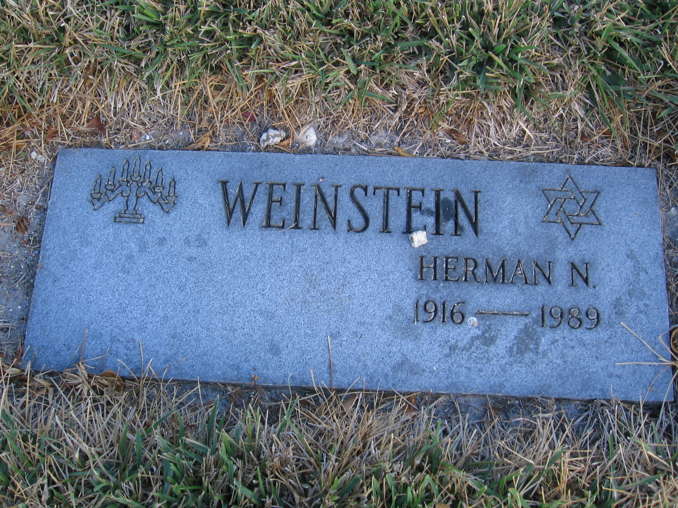 Herman N Weinstein