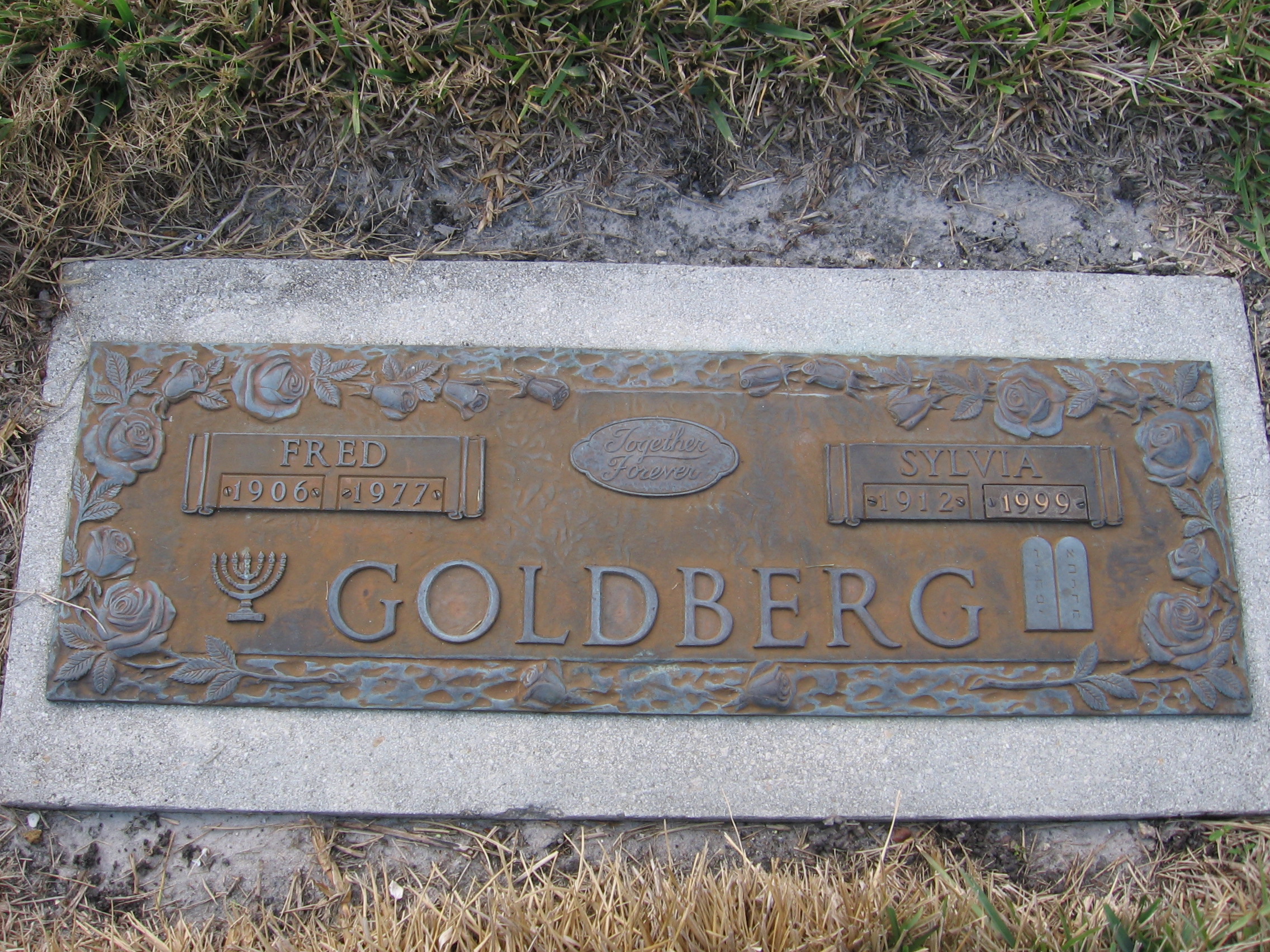 Fred Goldberg