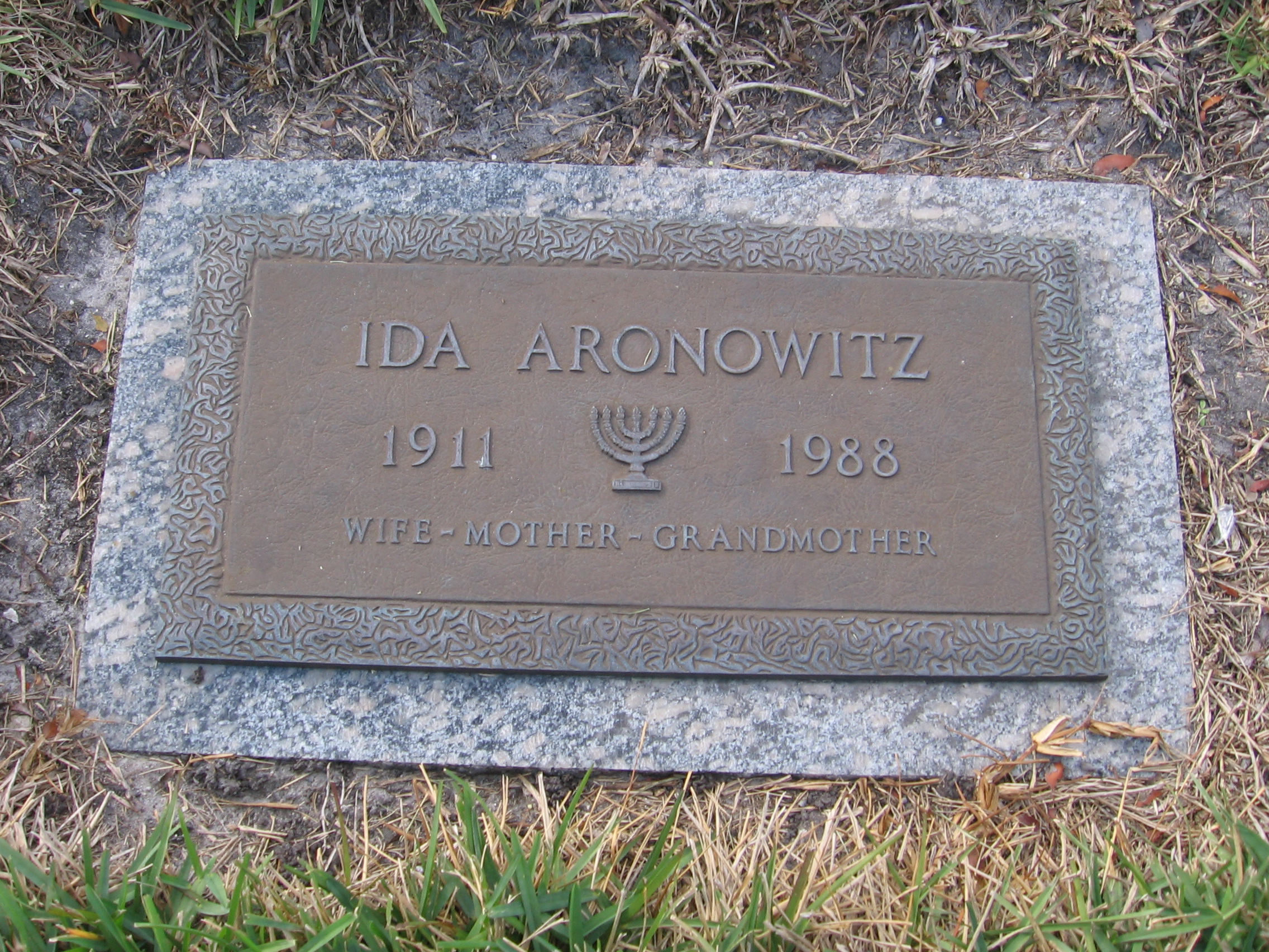 Ida Aronowitz