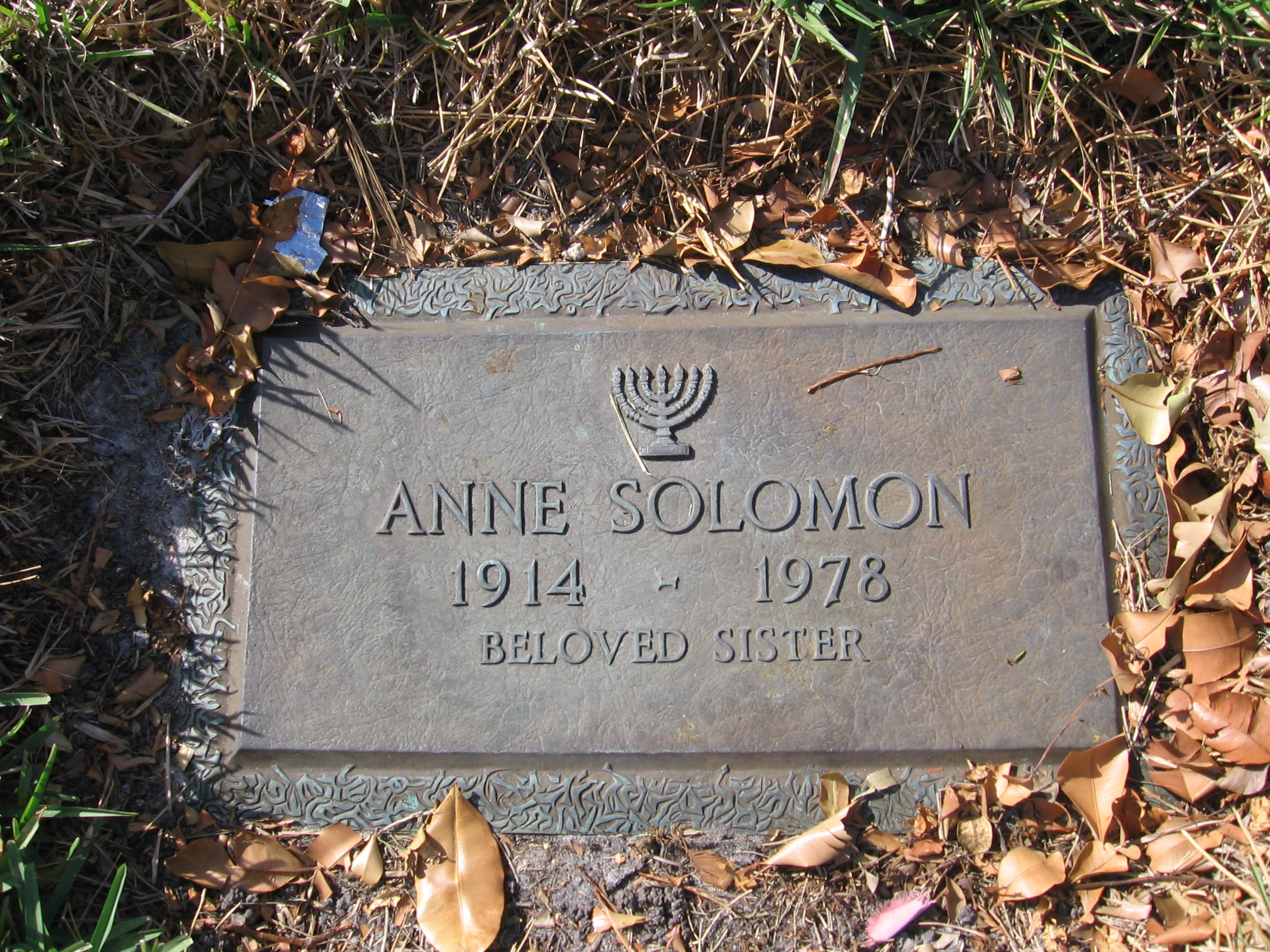 Anne Solomon
