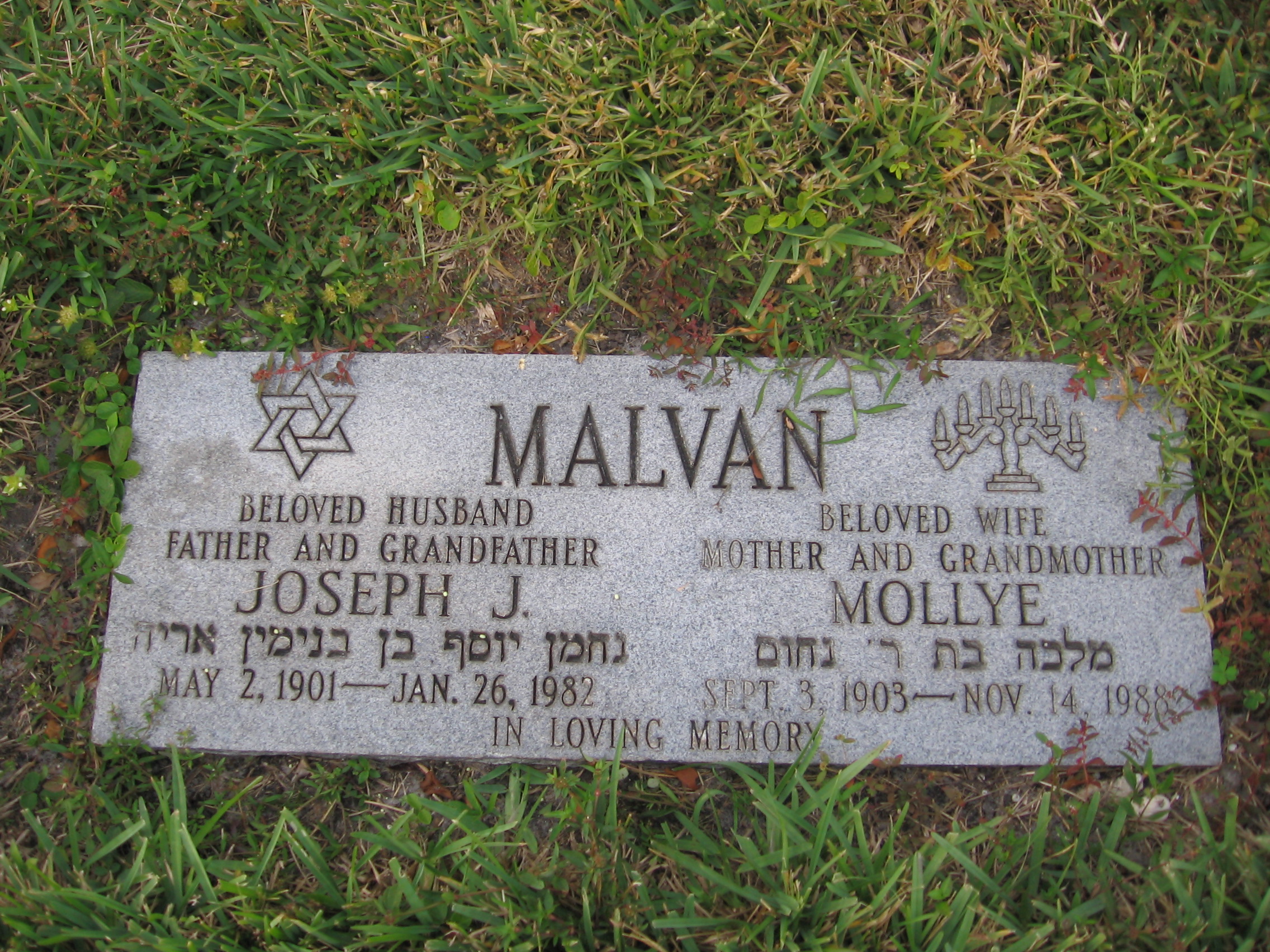 Joseph J Malvan