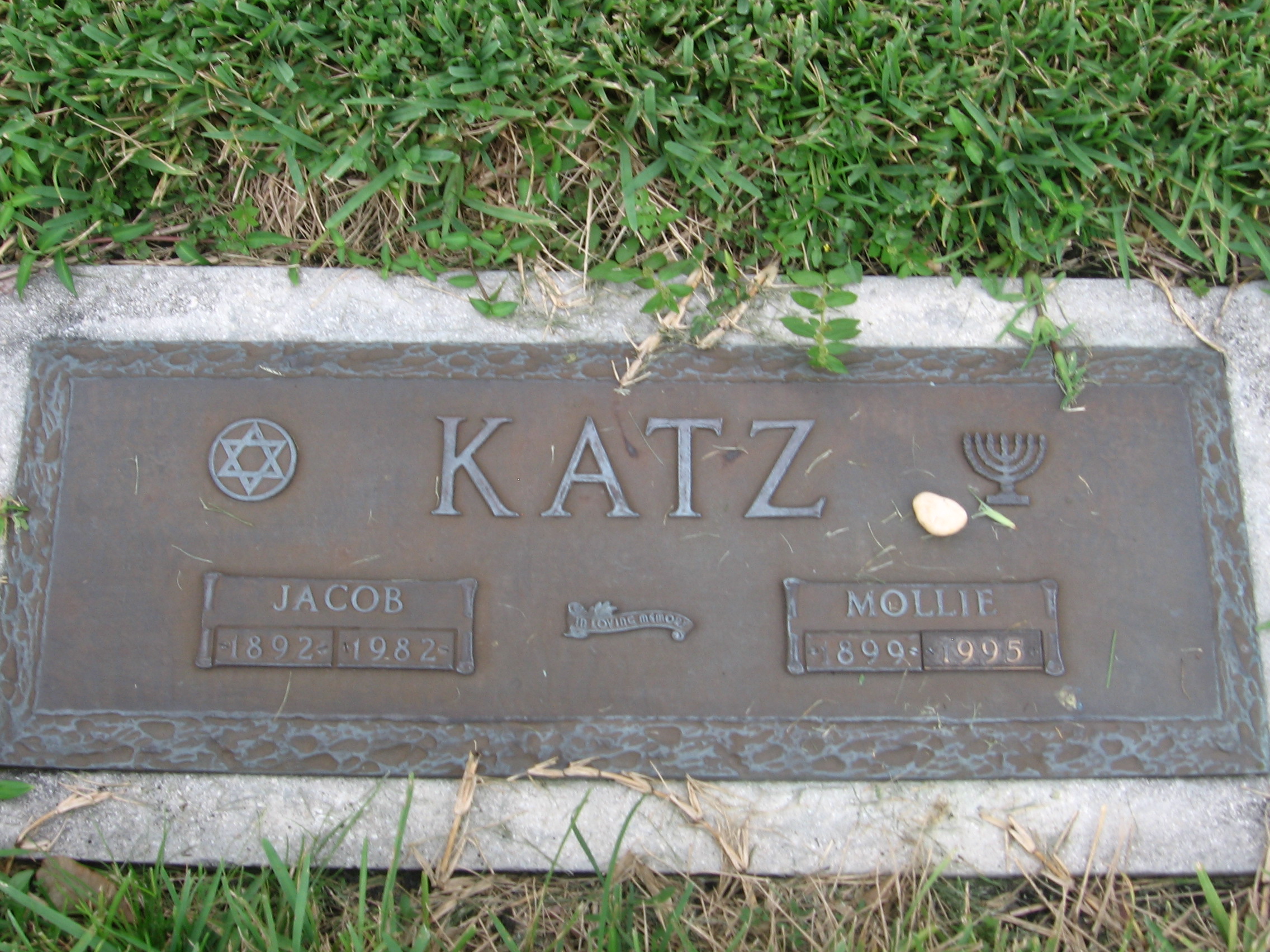 Jacob Katz