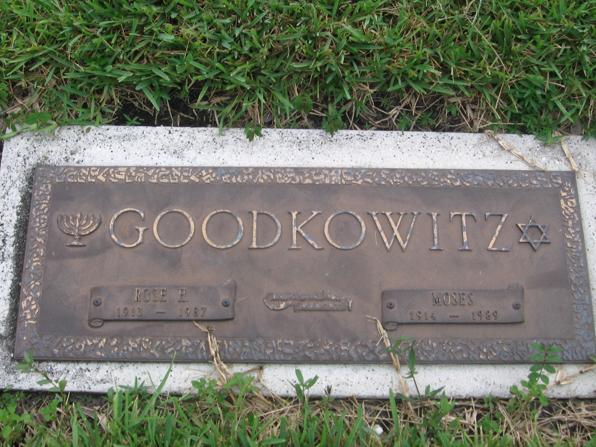 Moses Goodkowitz