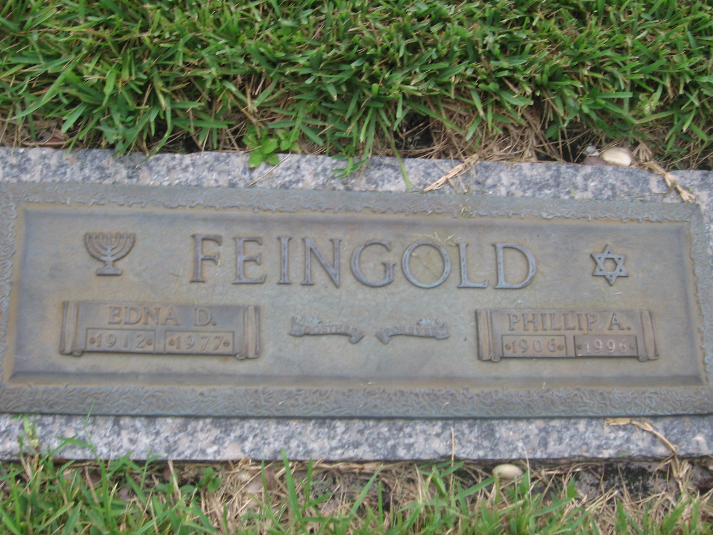 Edna D Feingold