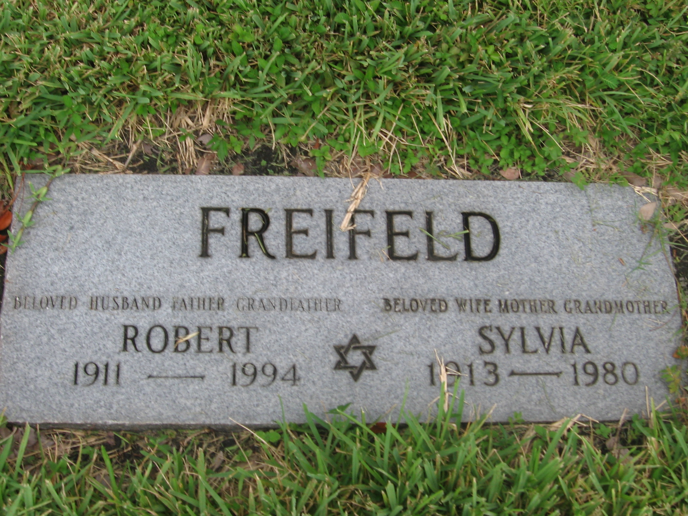 Robert Freifeld
