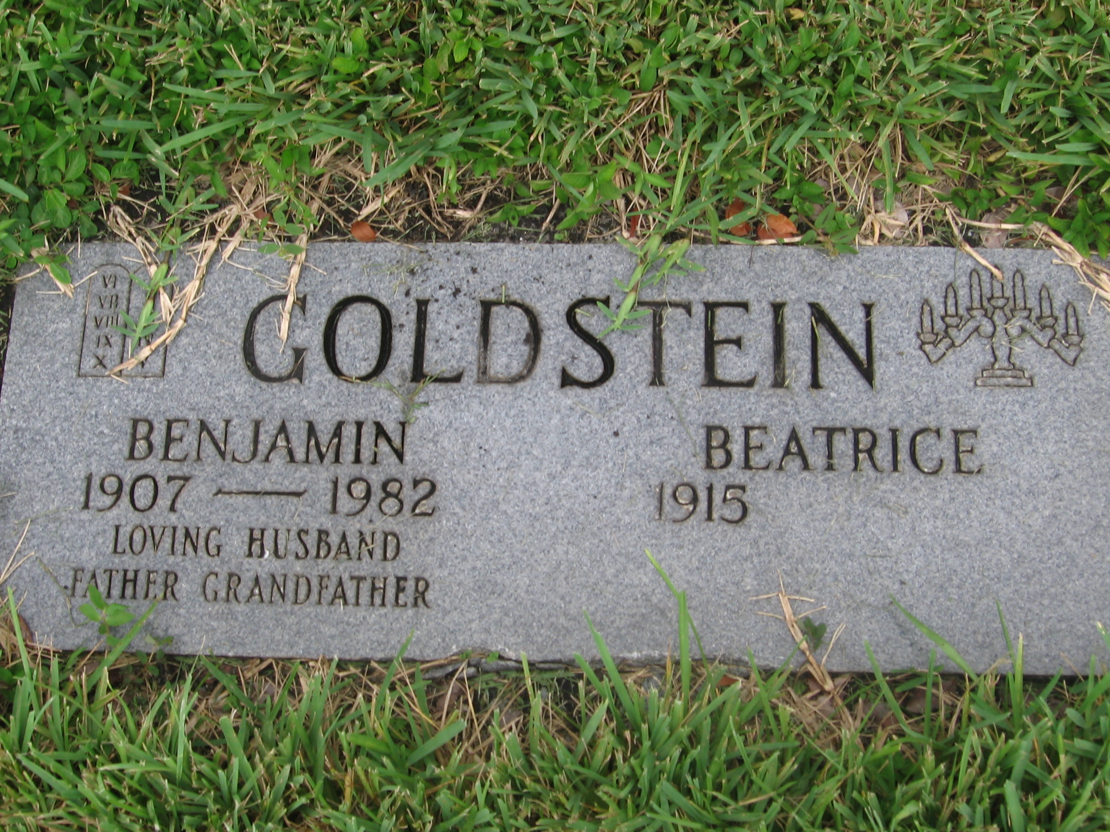 Benjamin Goldstein