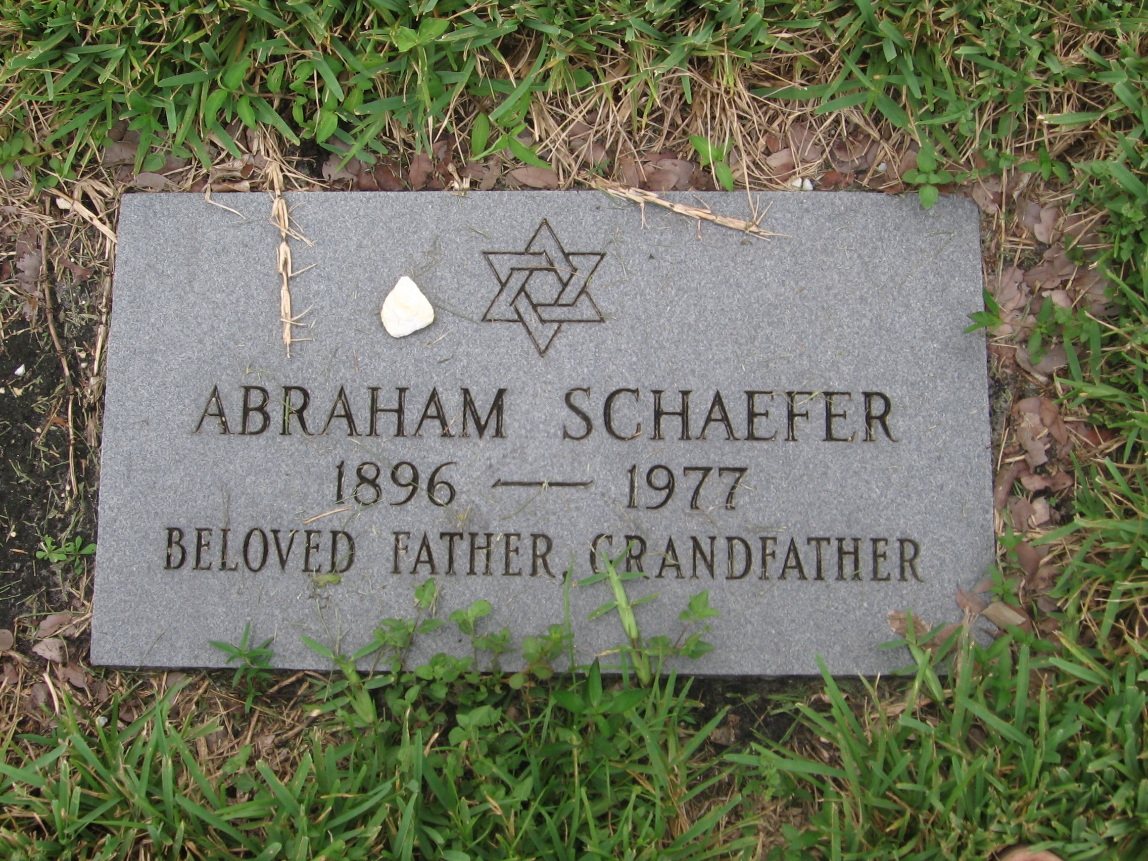 Abraham Schaefer