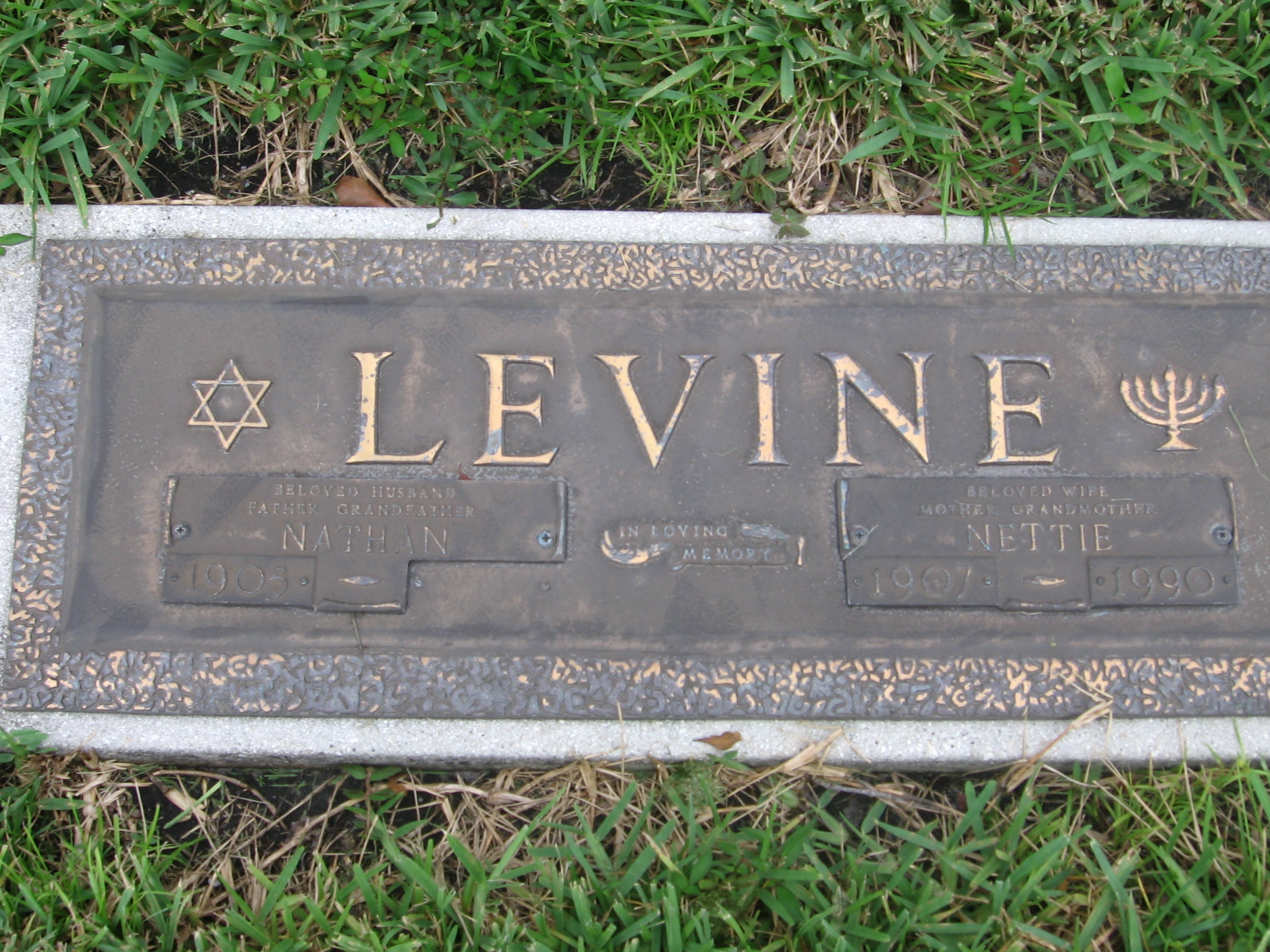 Nettie Levine