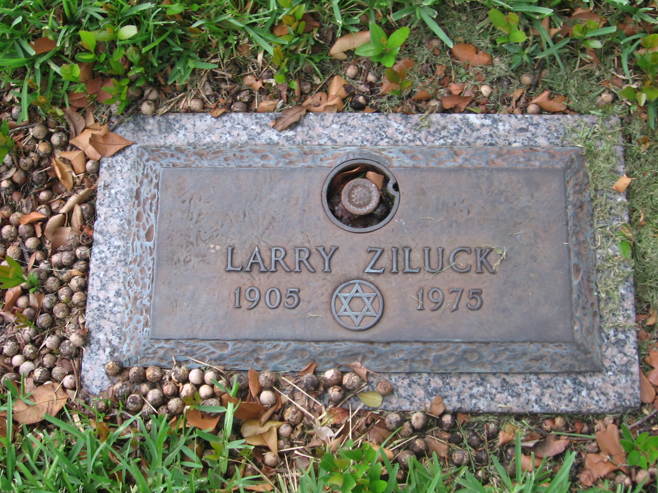 Larry Ziluck