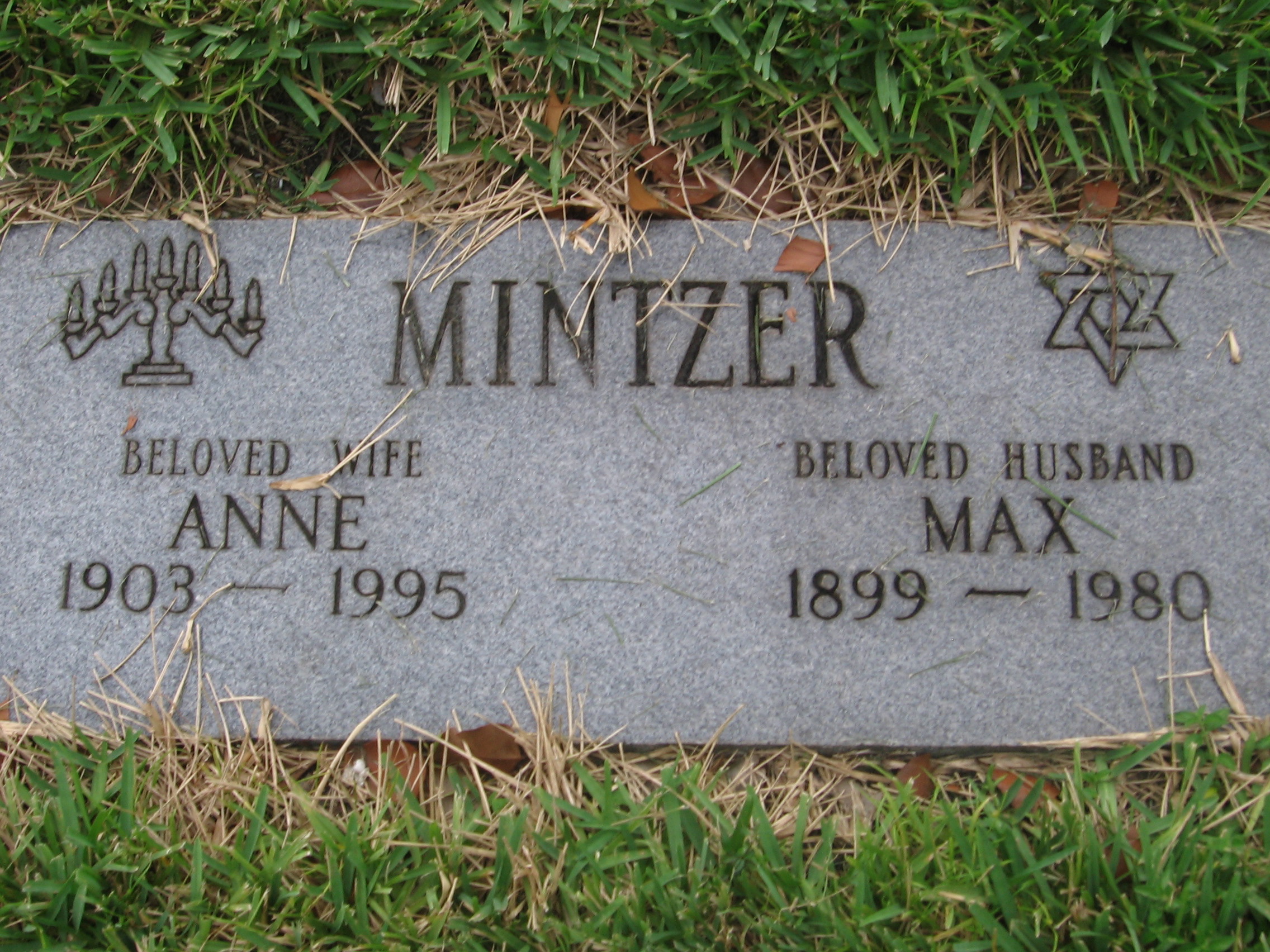 Max Mintzer