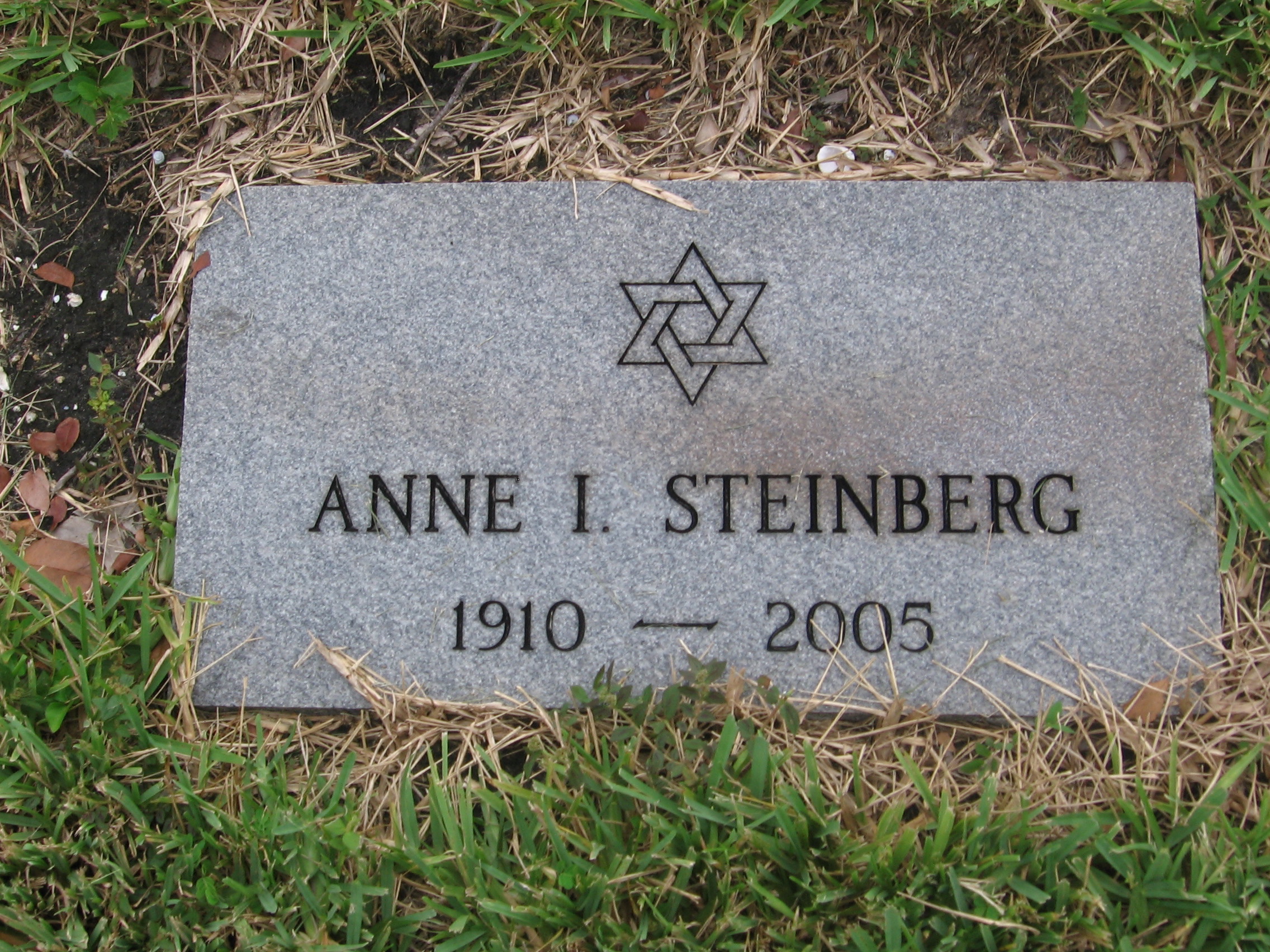 Annie I Steinberg
