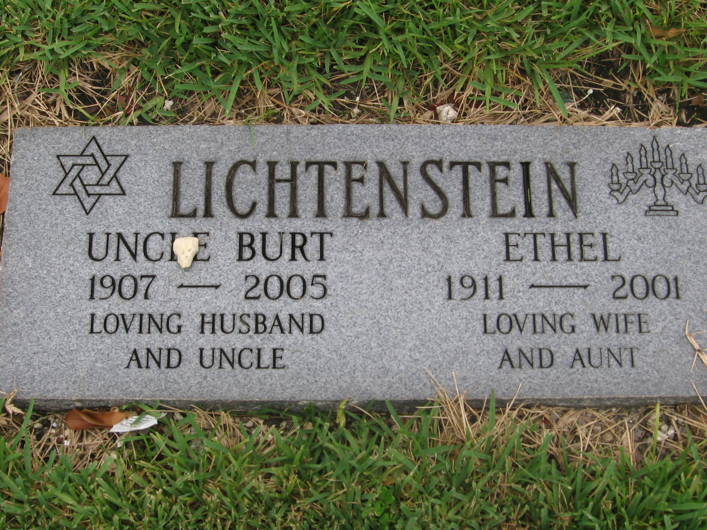 Burt Lichtenstein