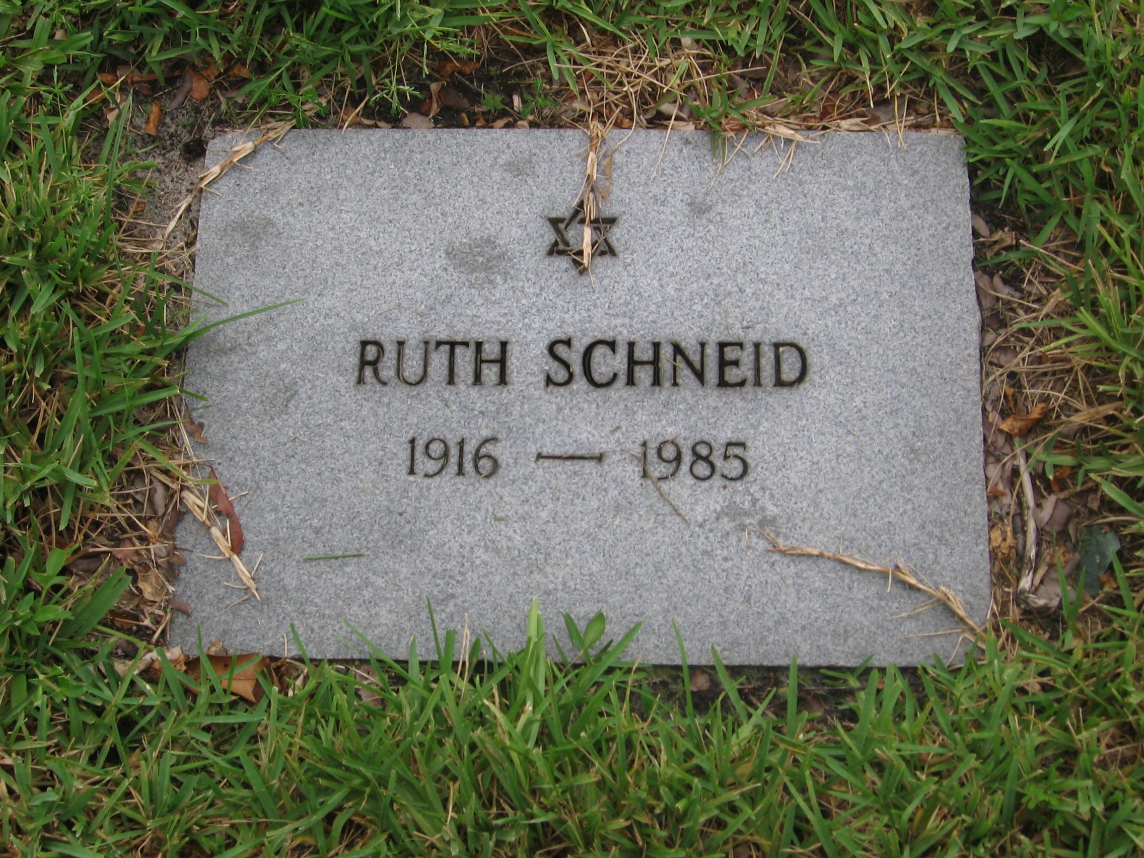 Ruth Schneid