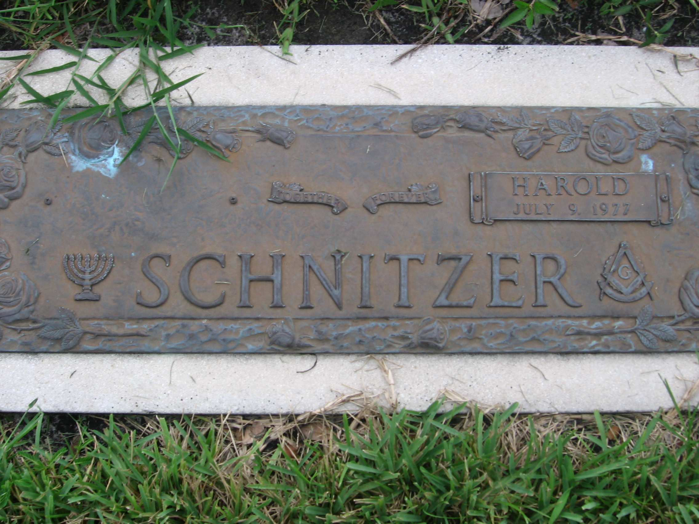 Harold Schnitzer