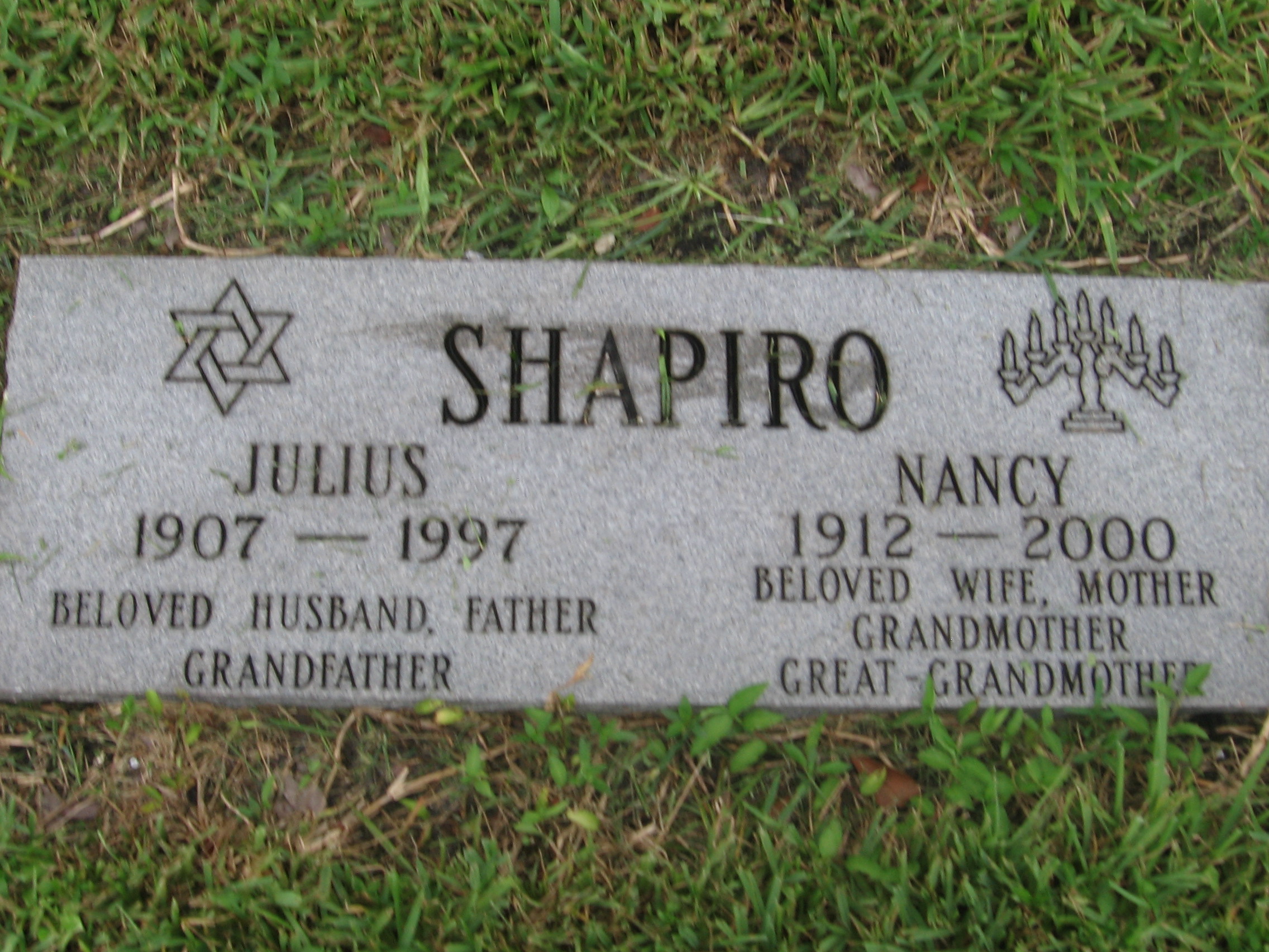 Julius Shapiro