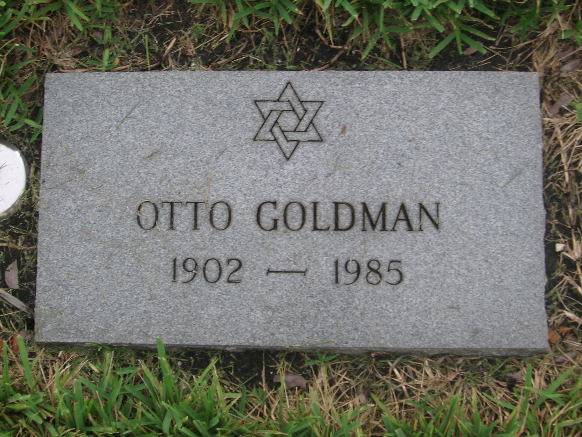 Otto Goldman