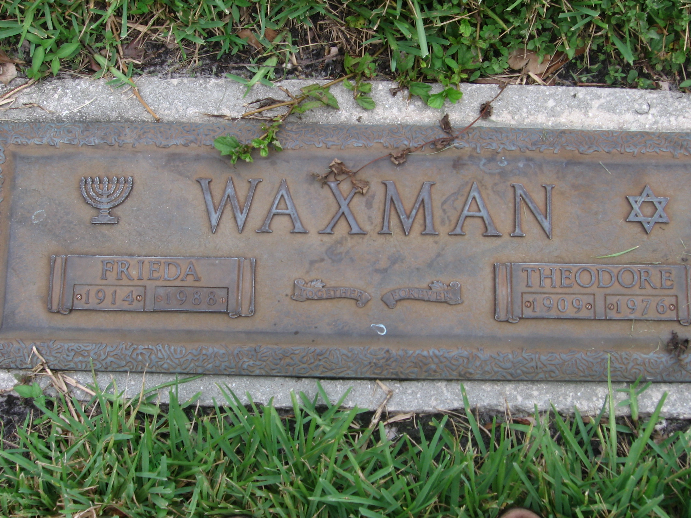 Frieda Waxman