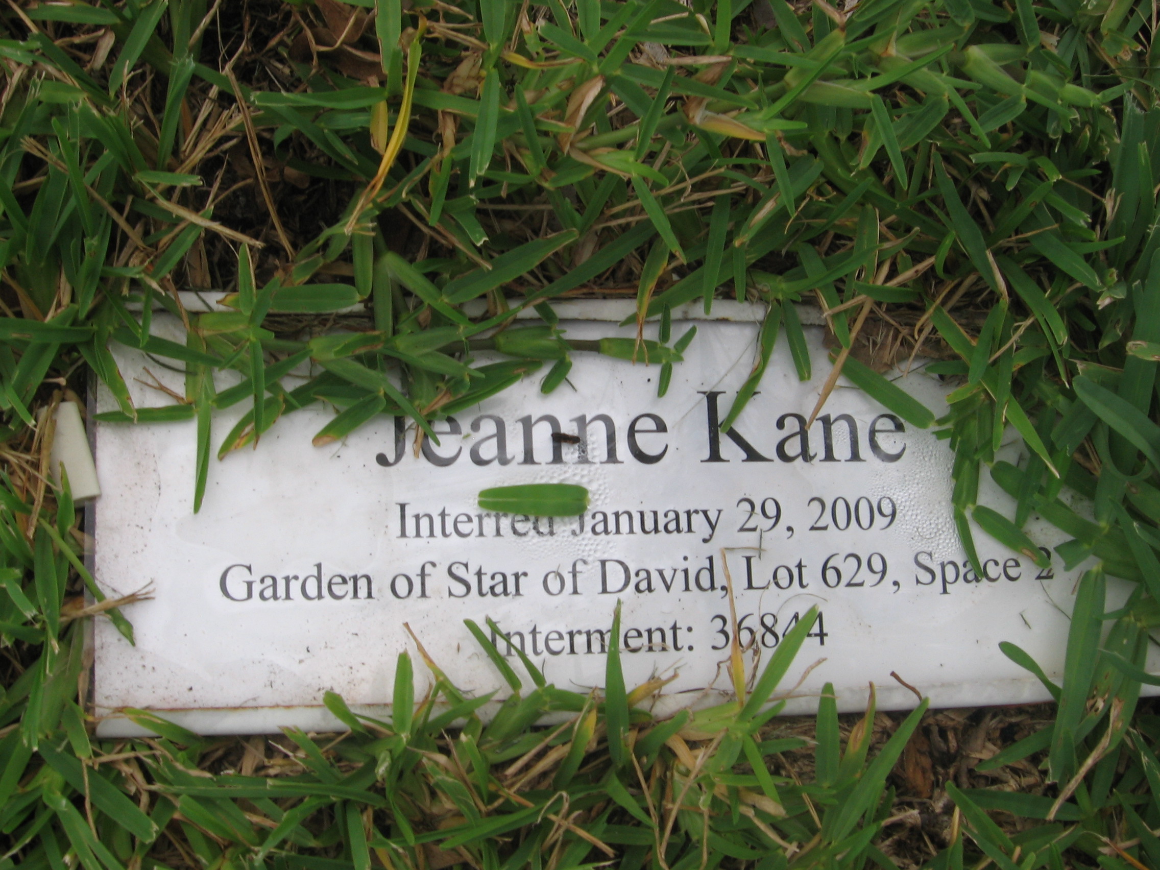 Jeanne Kane