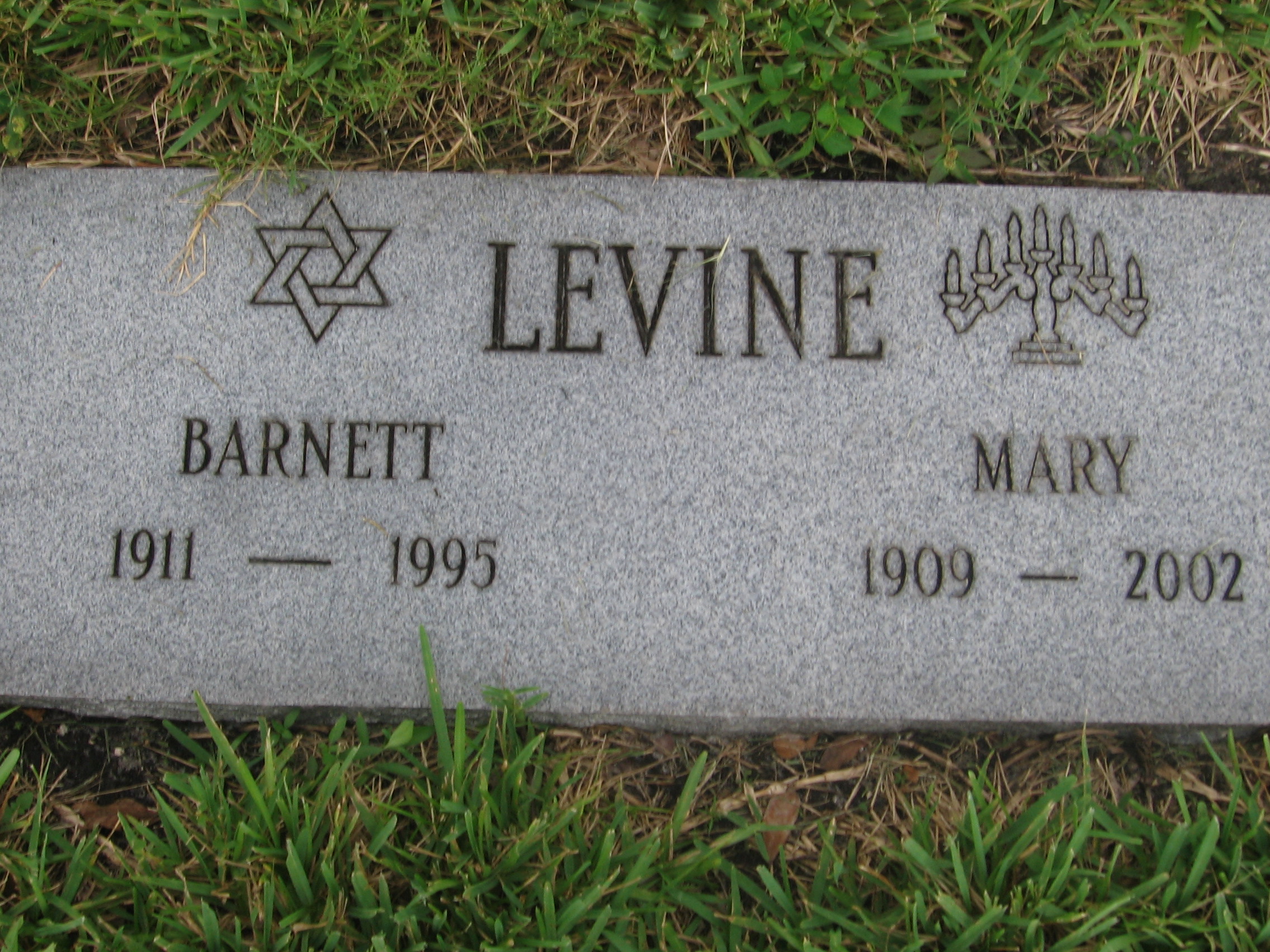 Mary Levine