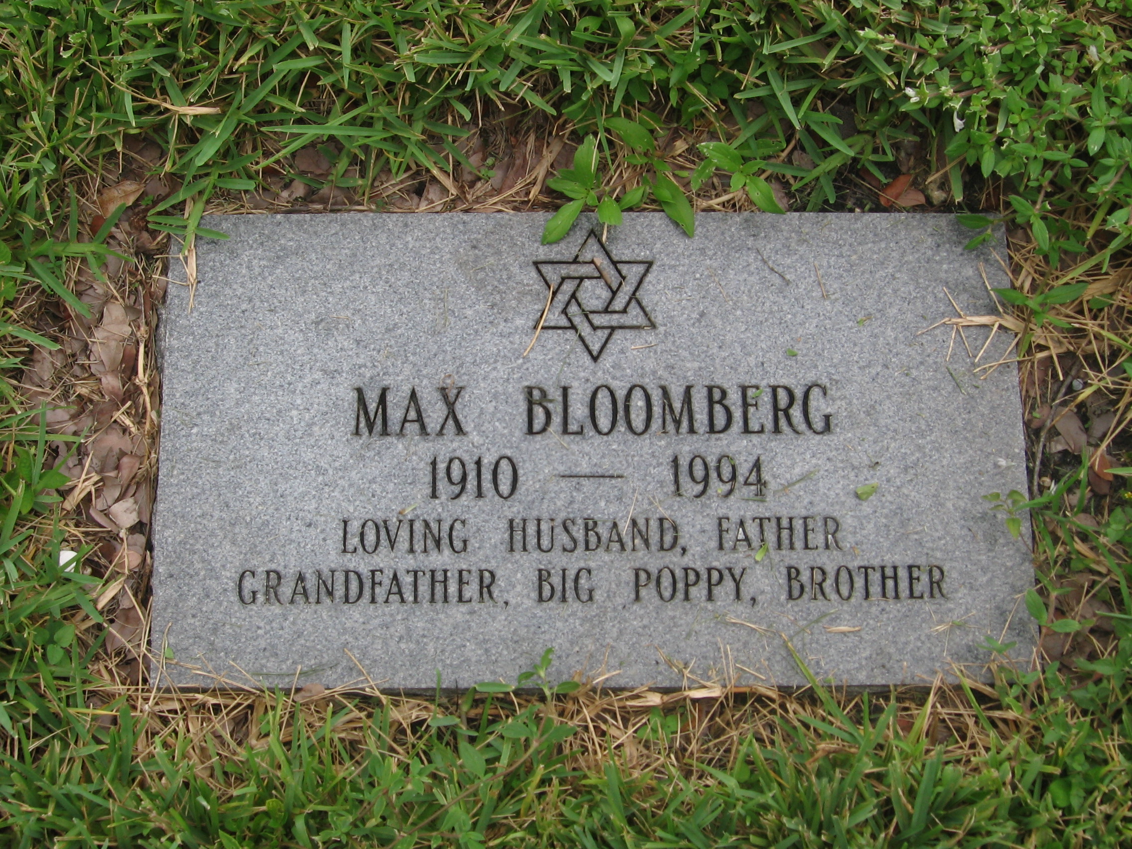 Max Bloomberg