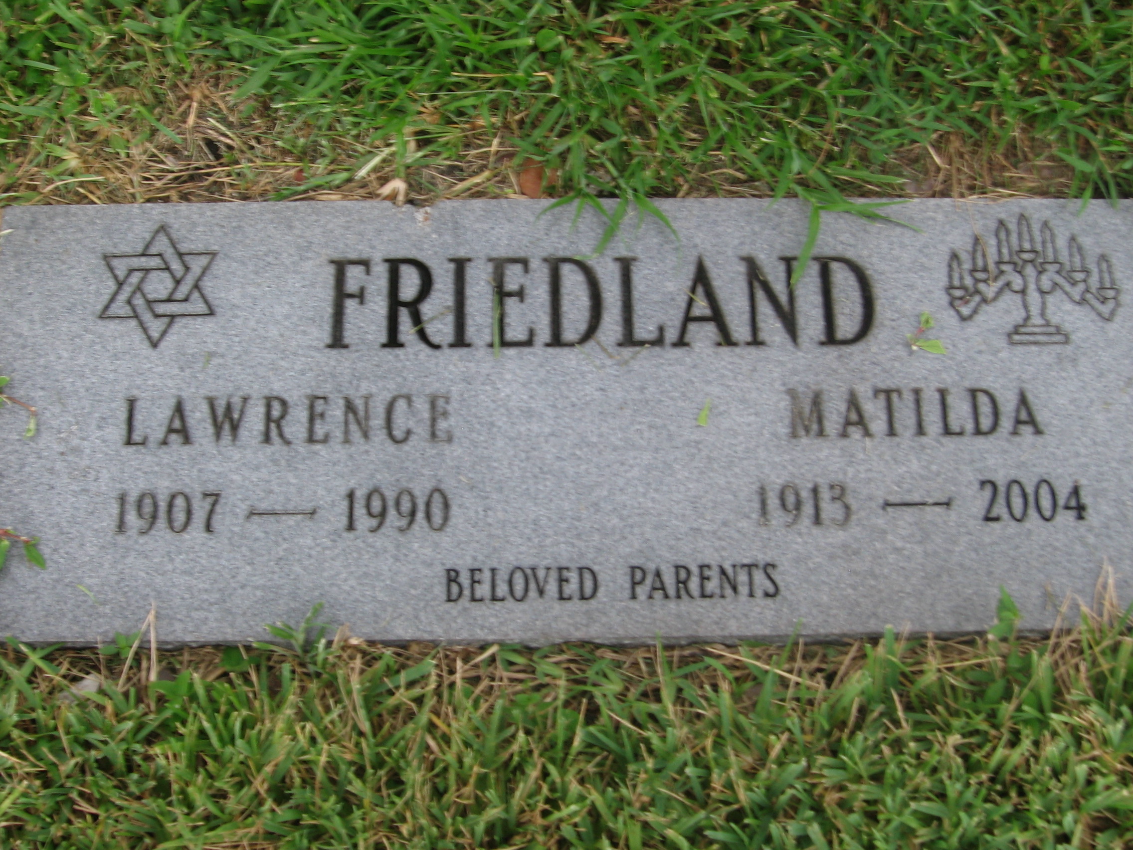Lawrence Friedland