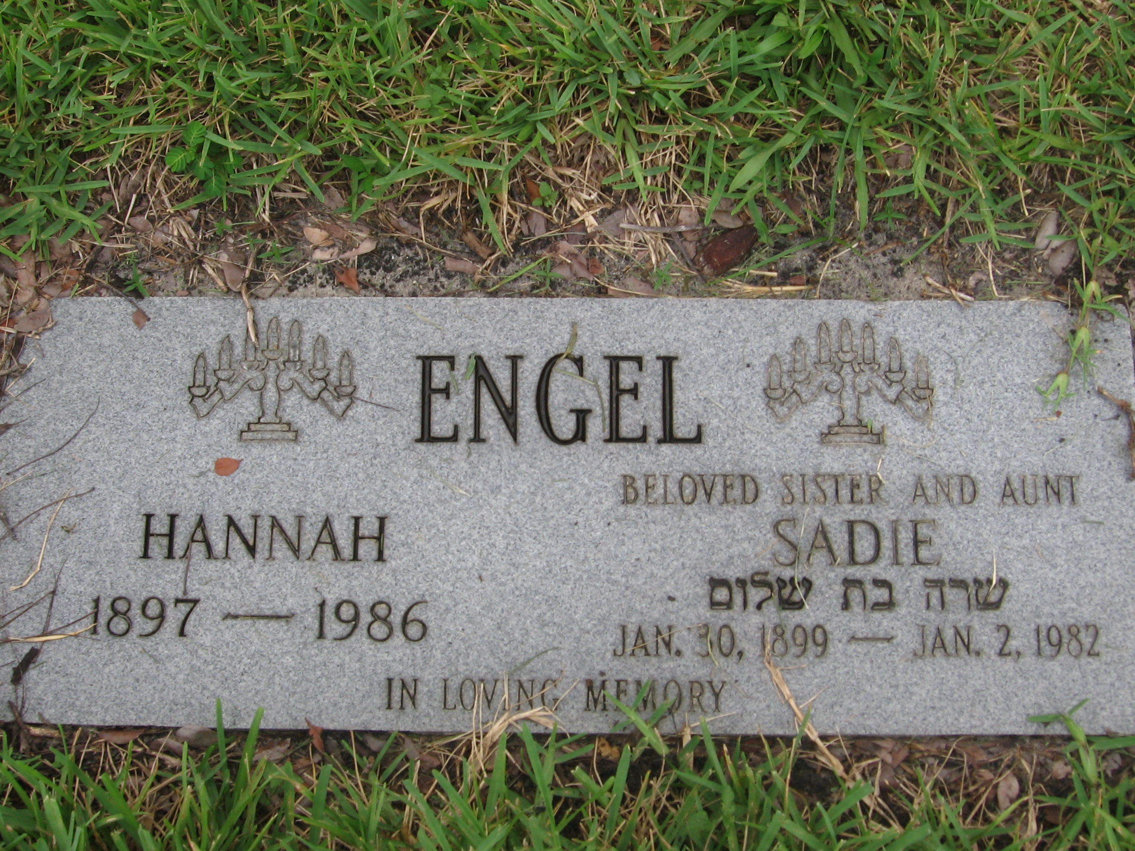Sadie Engel