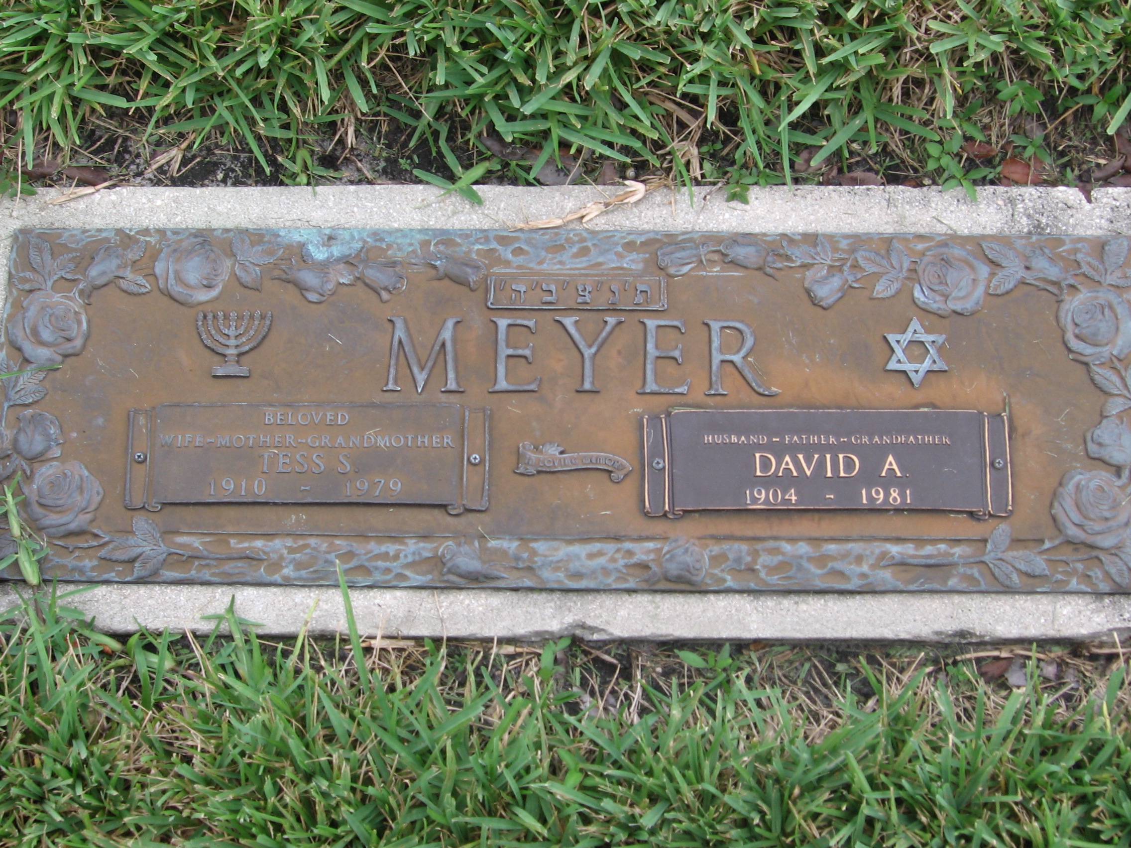 David A Meyer
