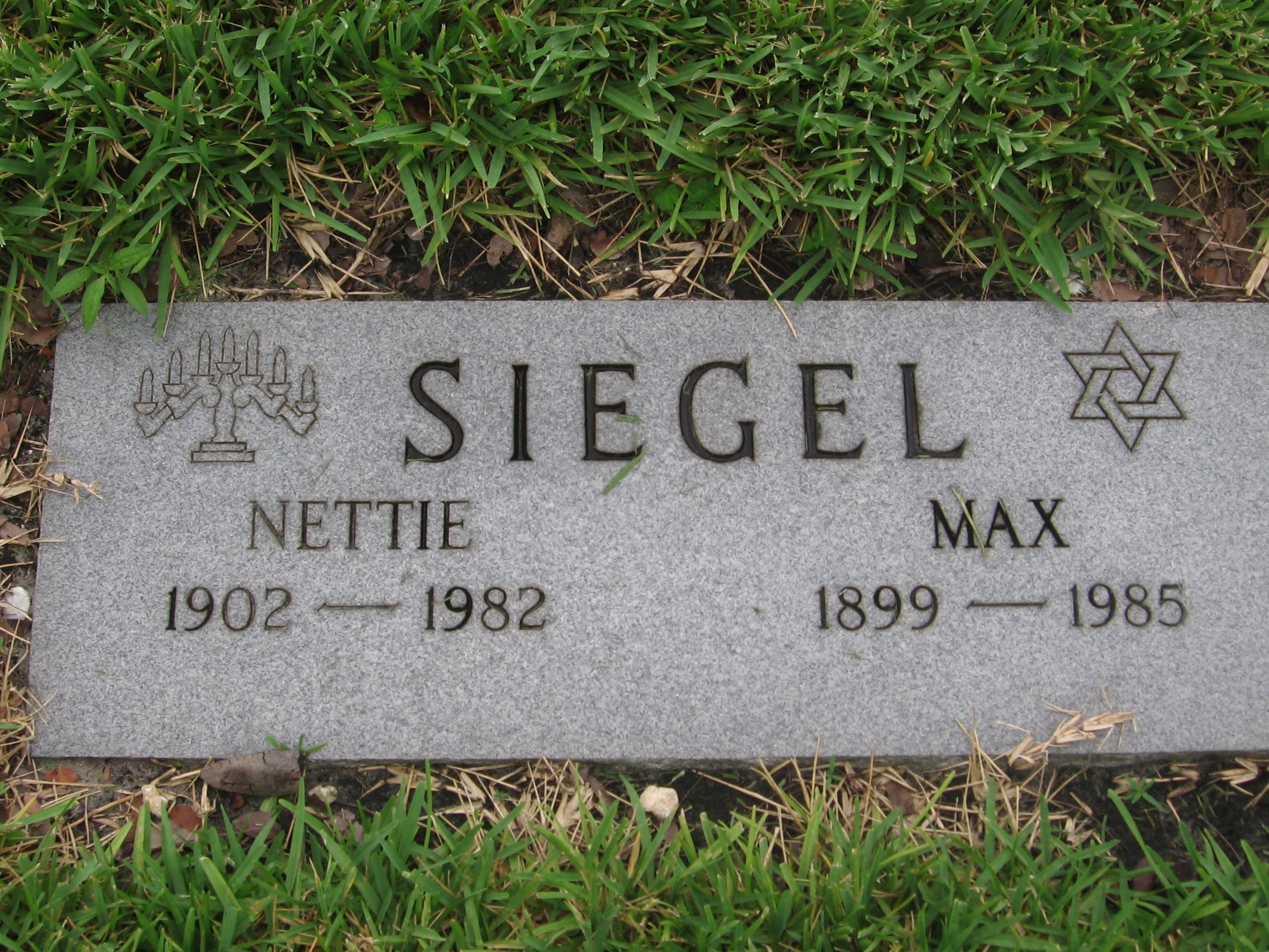 Nettie Siegel