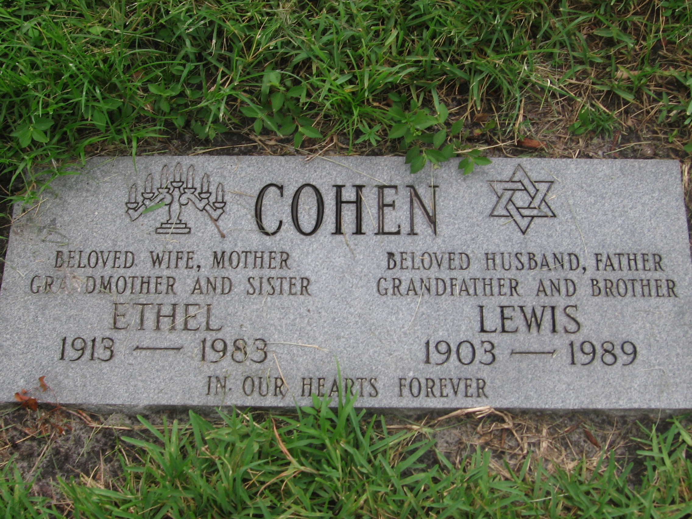 Lewis Cohen