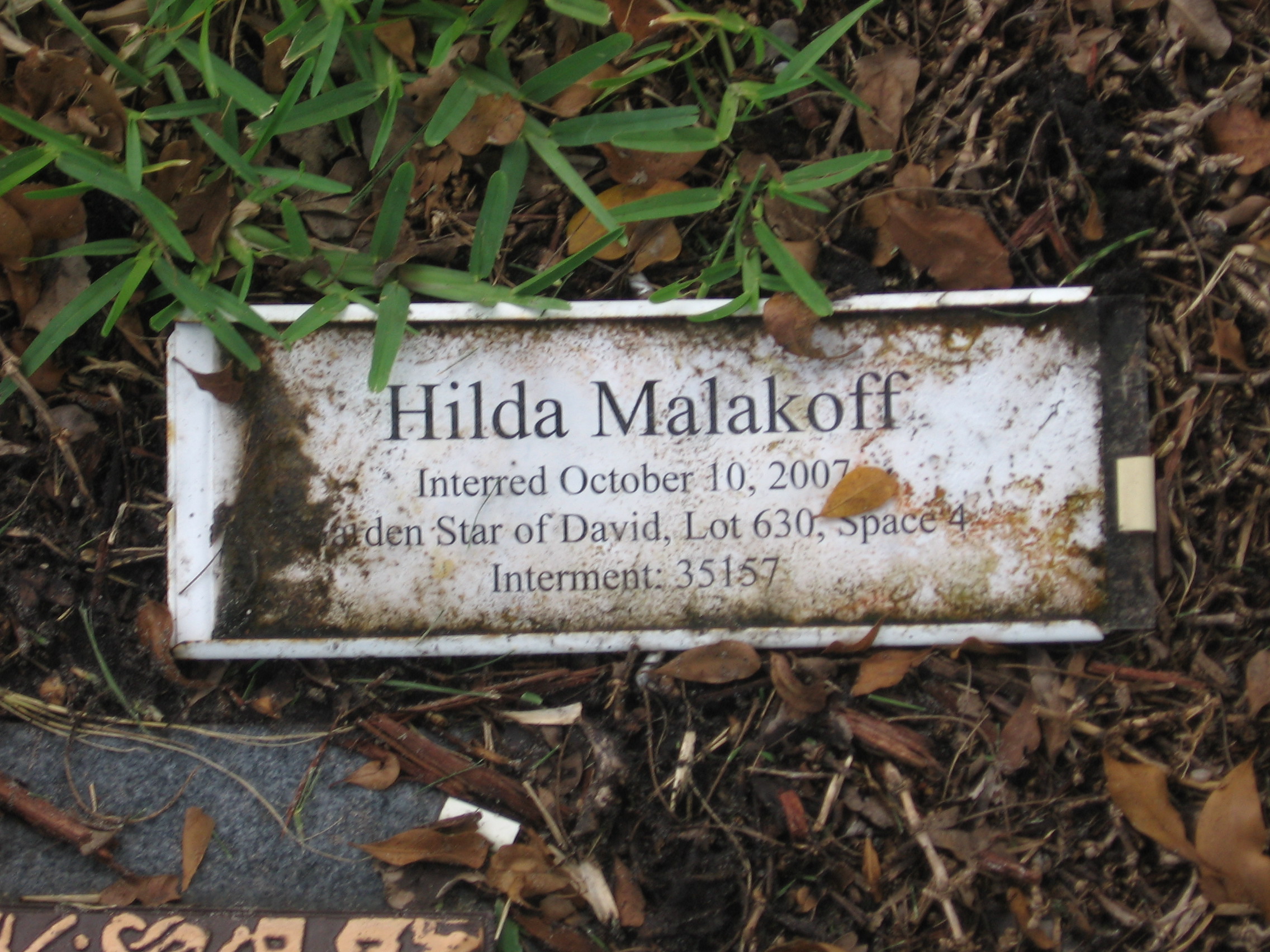 Hilda Malakoff