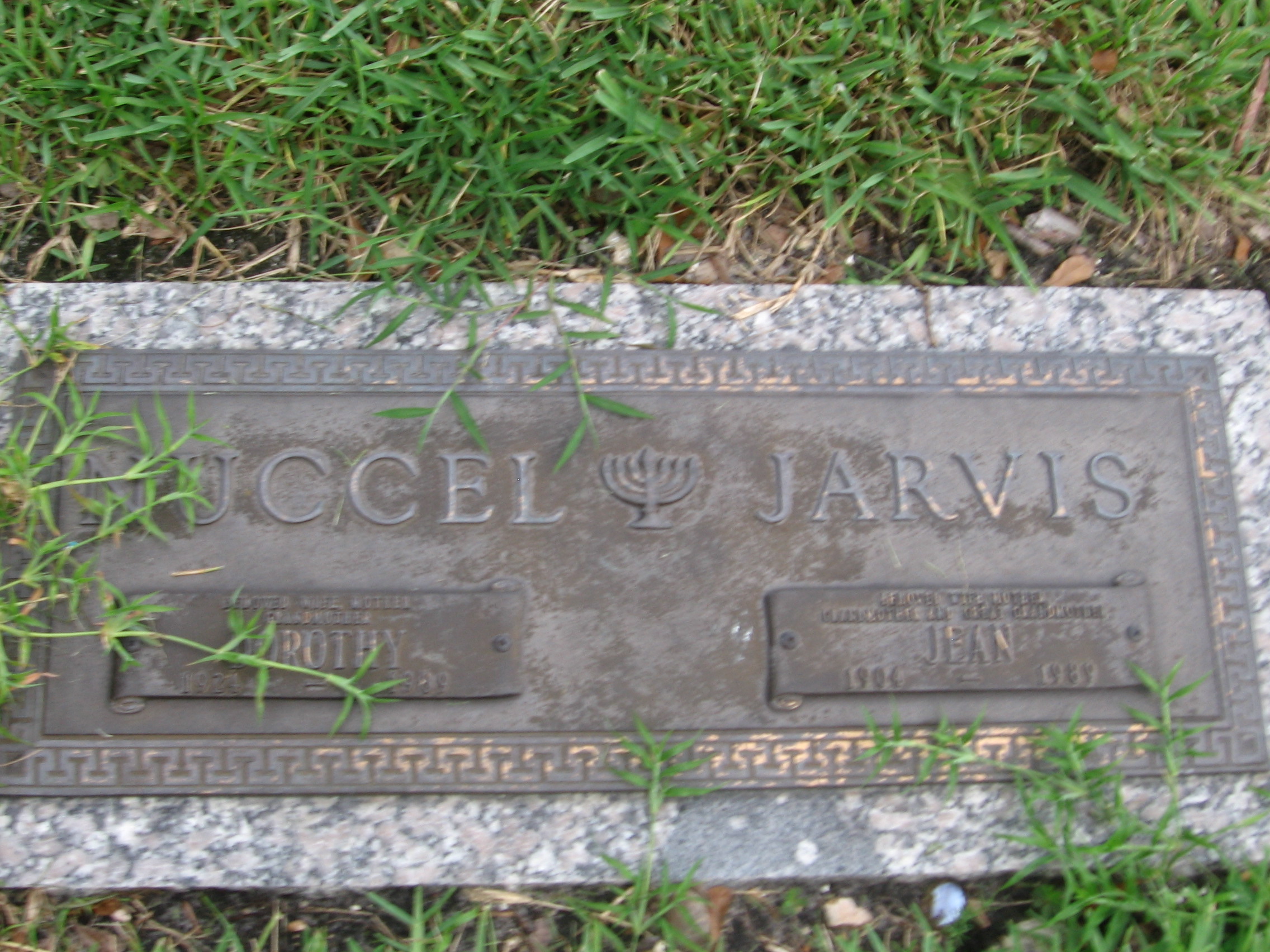 Jean Jarvis