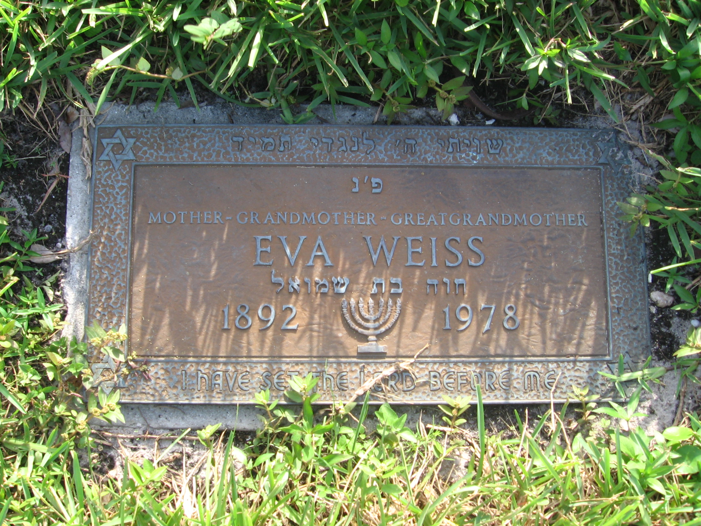 Eva Weiss