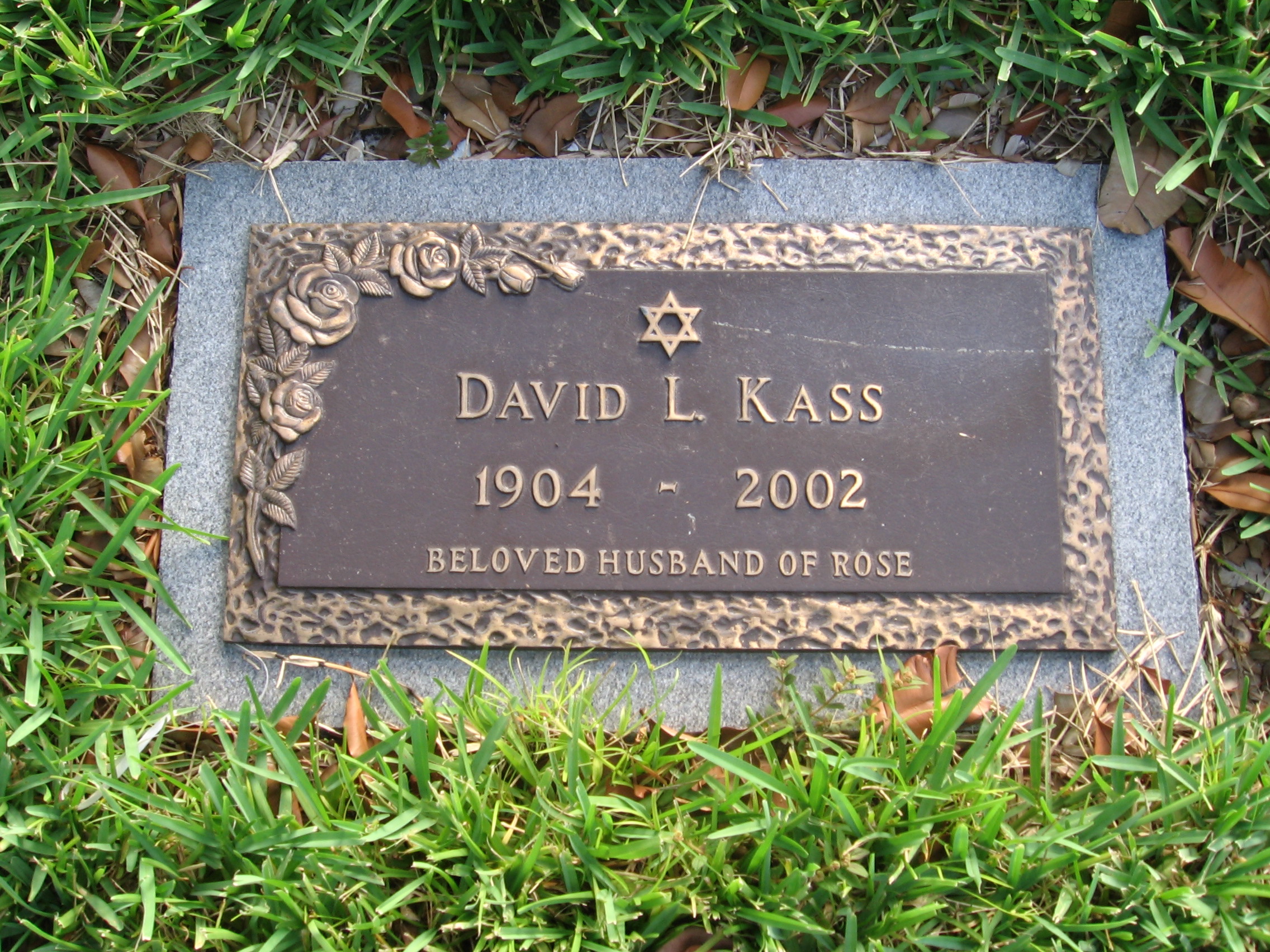 David L Kass