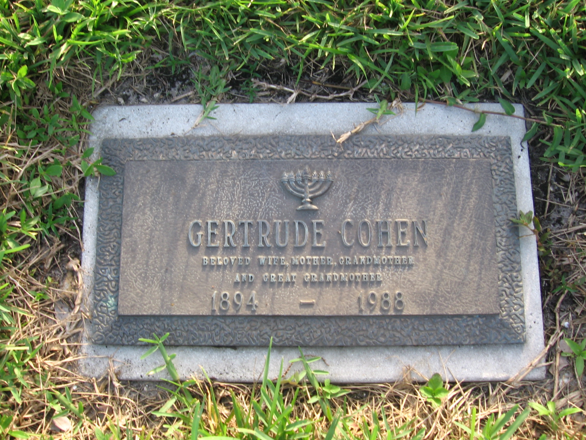 Gertrude Cohen