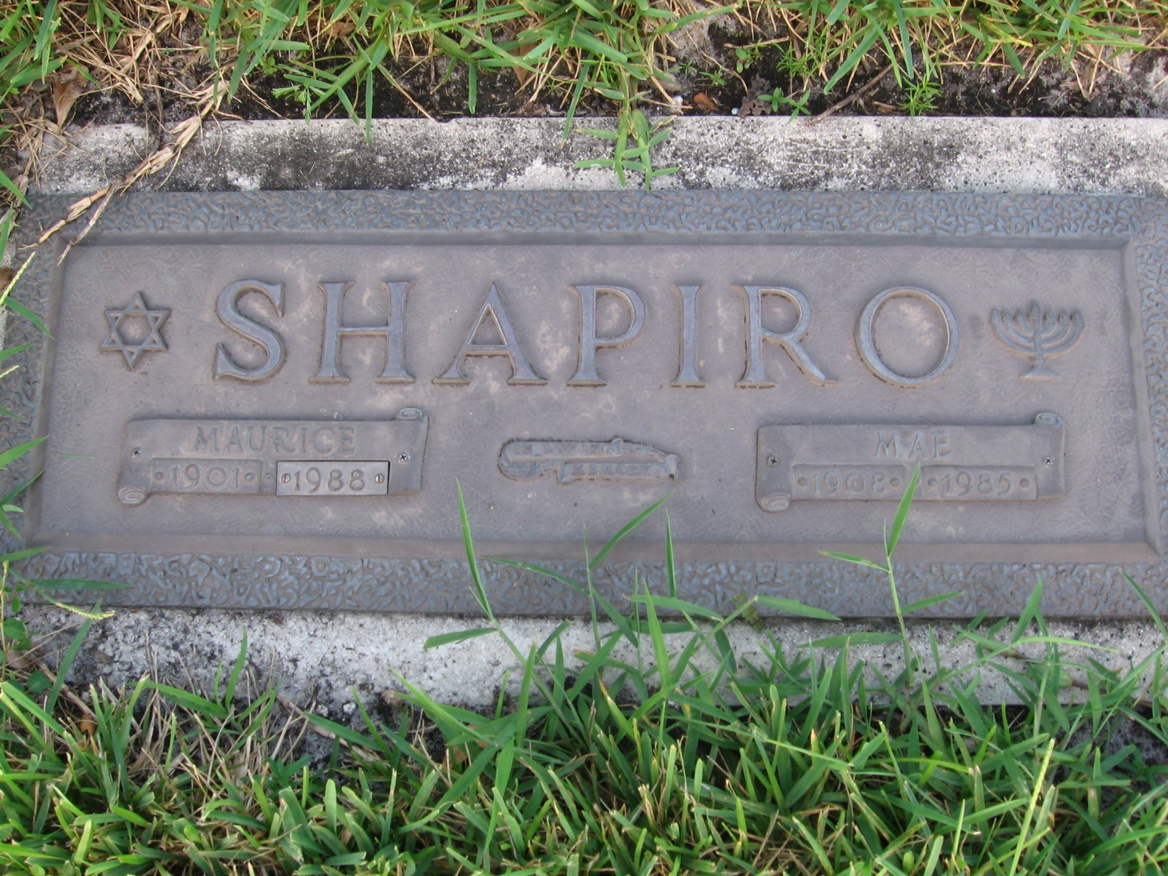 Maurice Shapiro