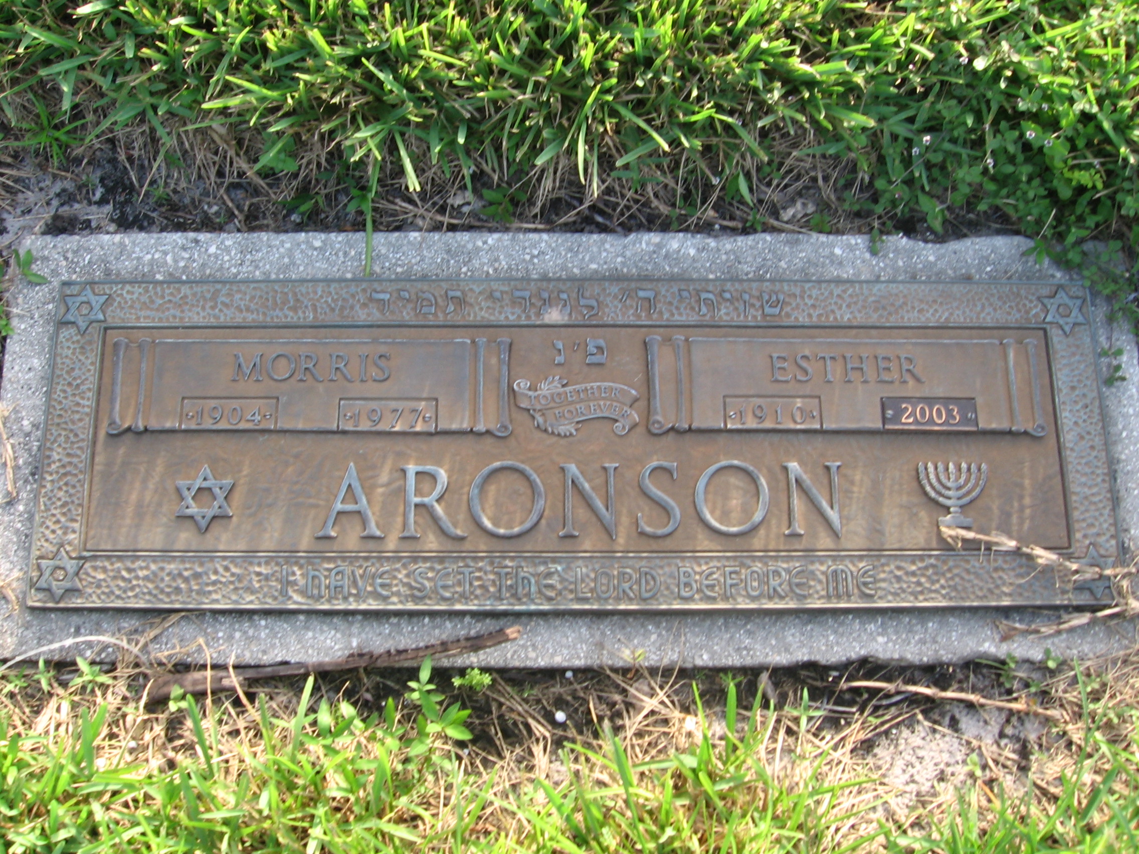 Morris Aronson