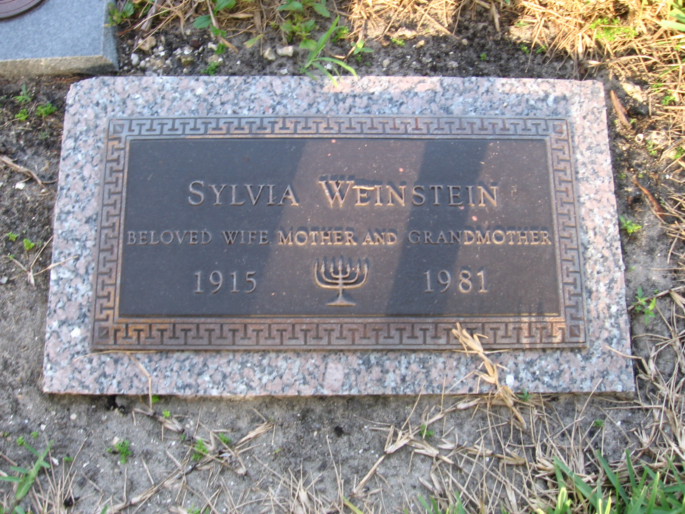 Sylvia Weinstein