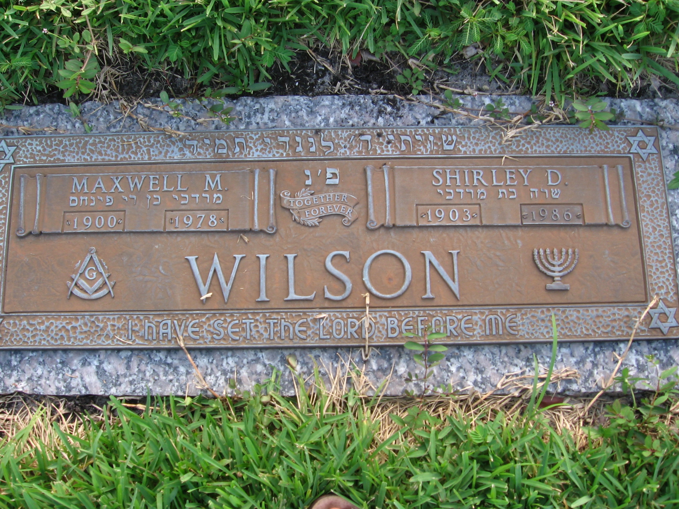 Maxwell M Wilson