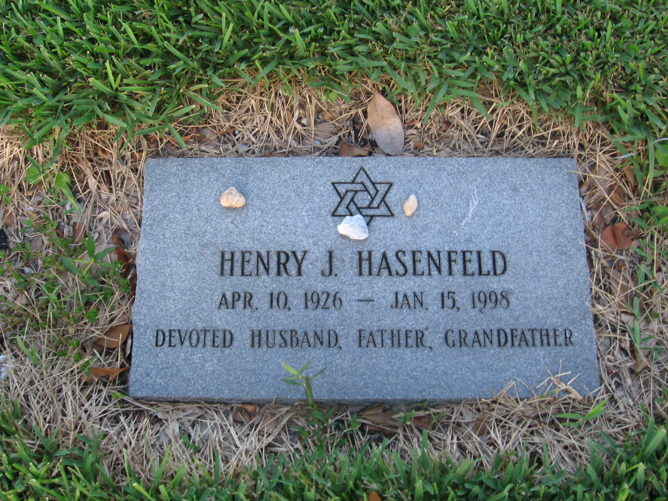 Henry J Hasenfeld