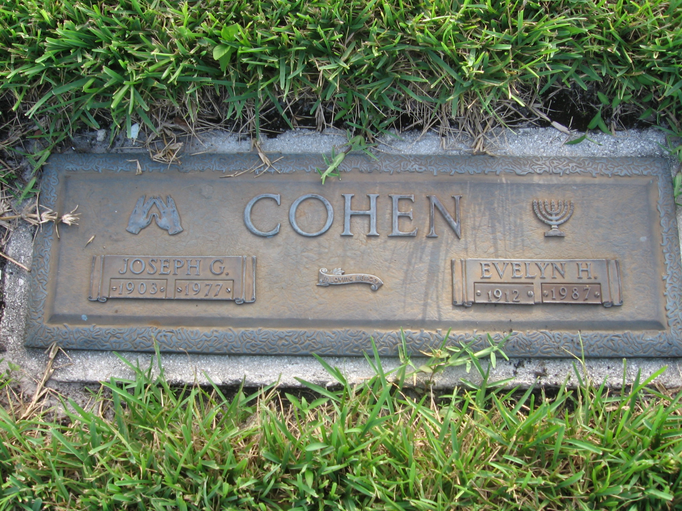 Joseph G Cohen