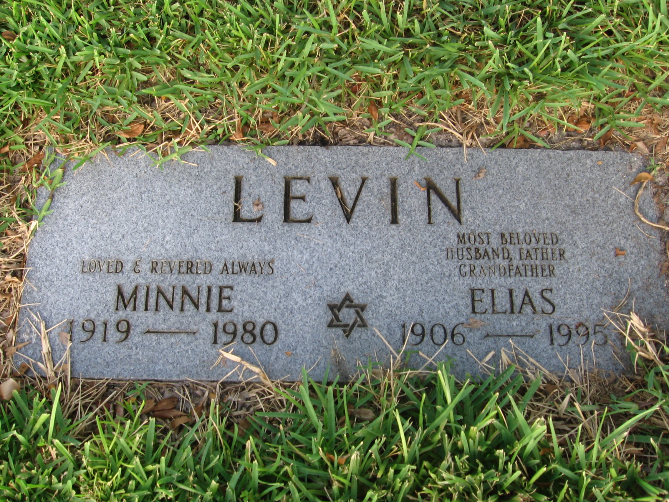 Elias Levin