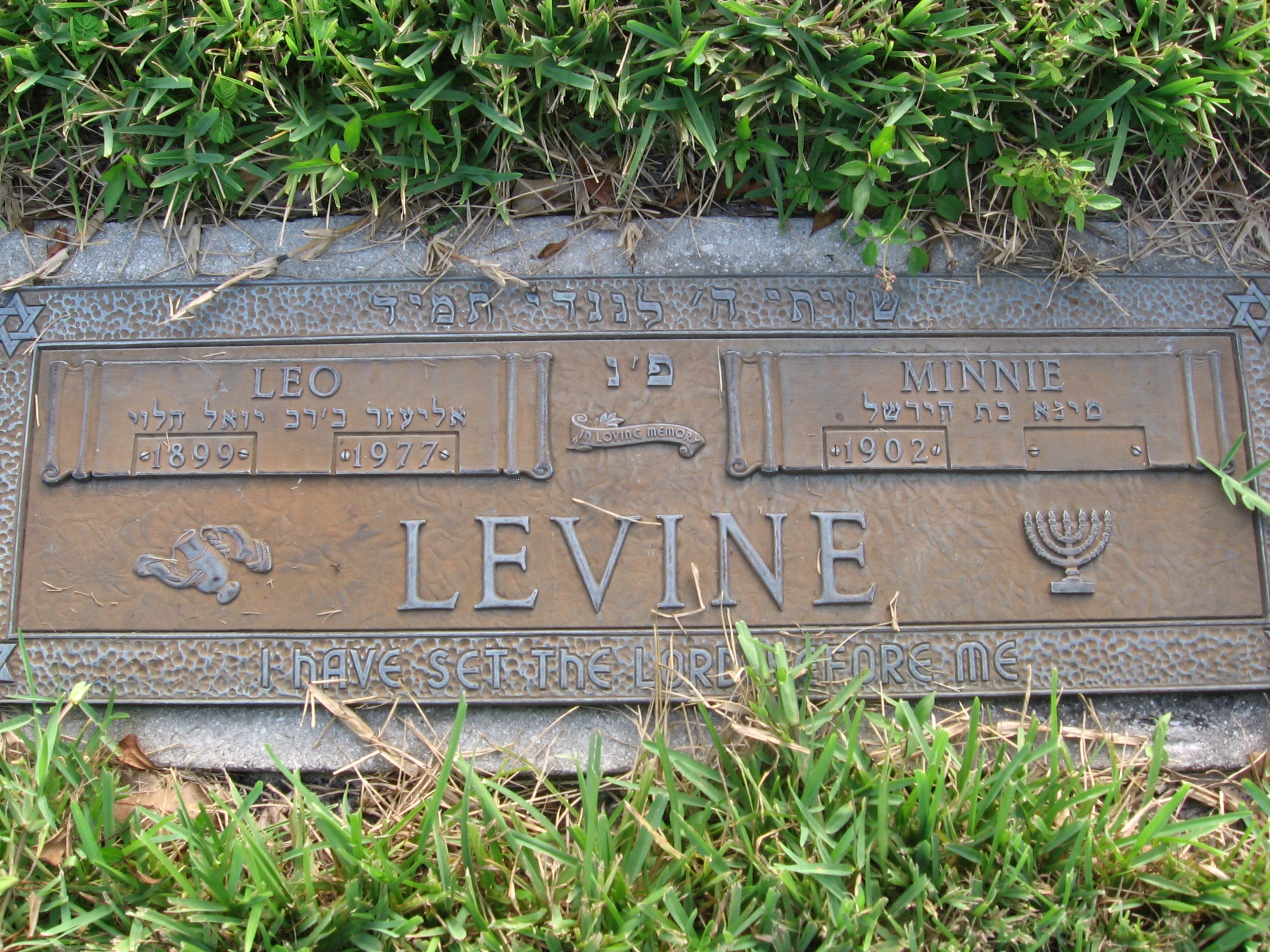 Minnie Levine