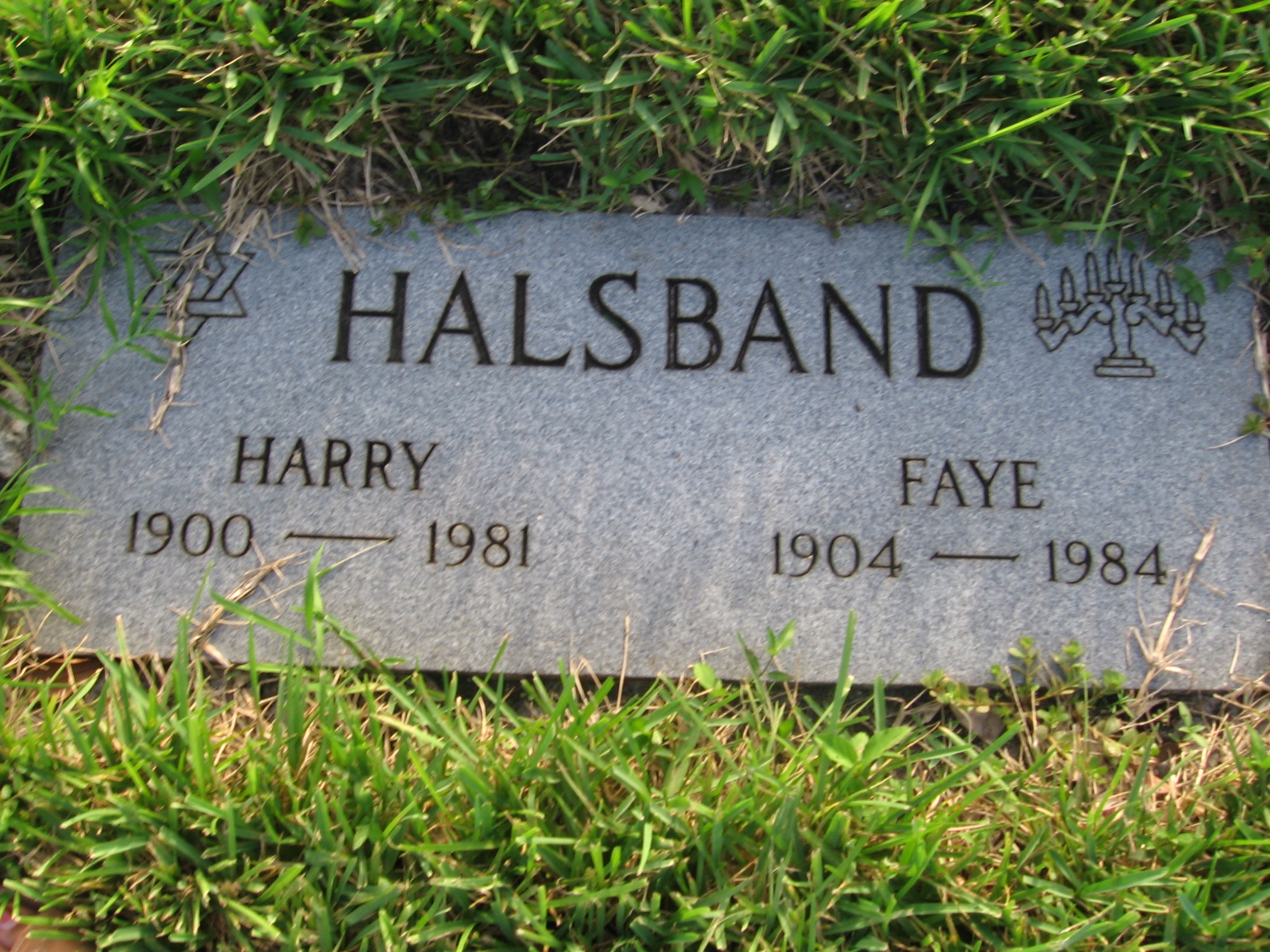 Faye Halsband