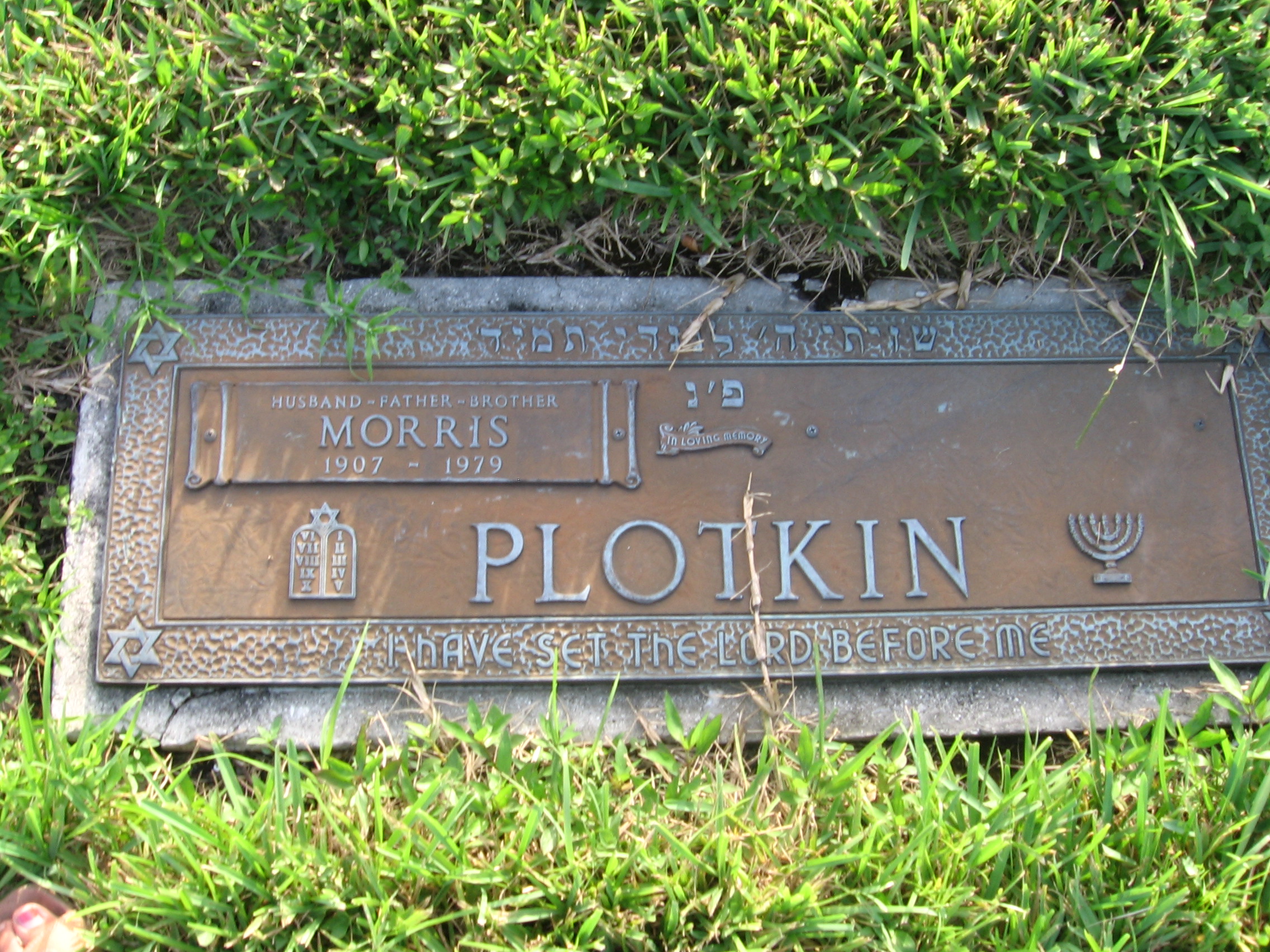 Morris Plotkin