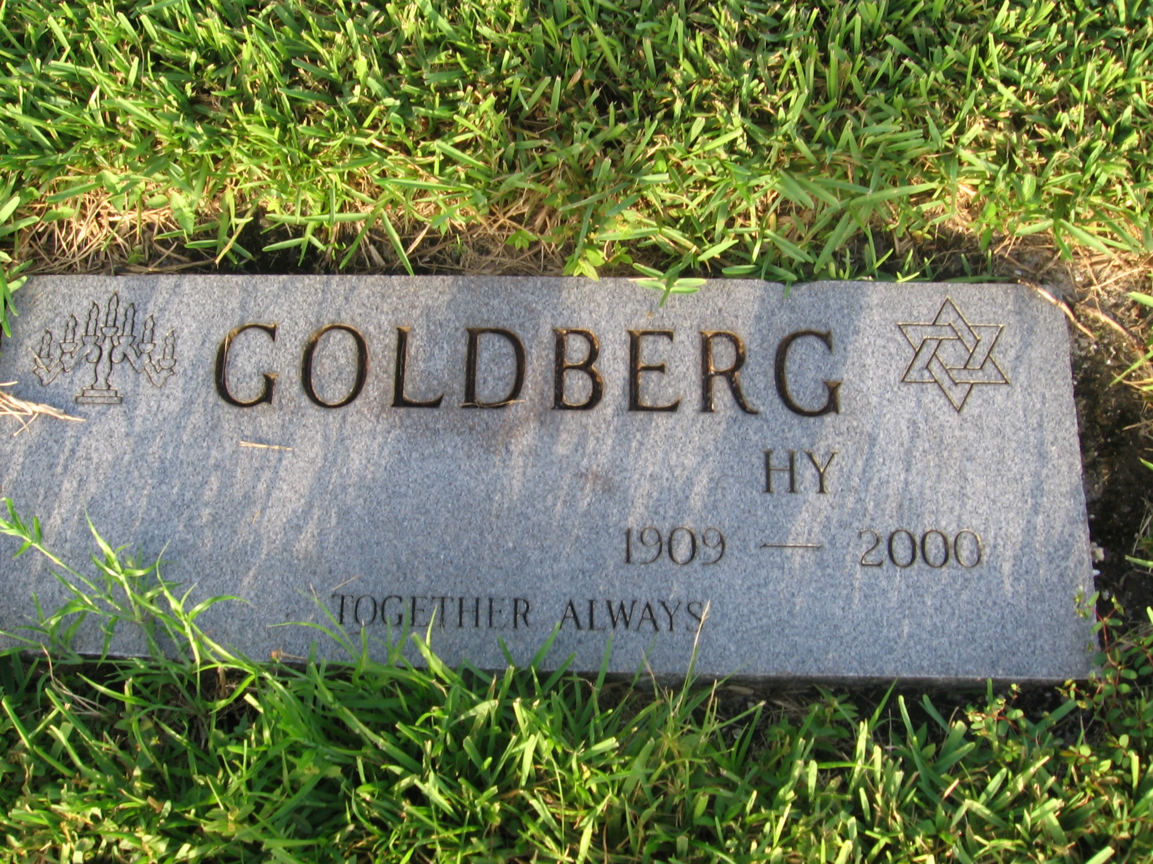 Hy Goldberg