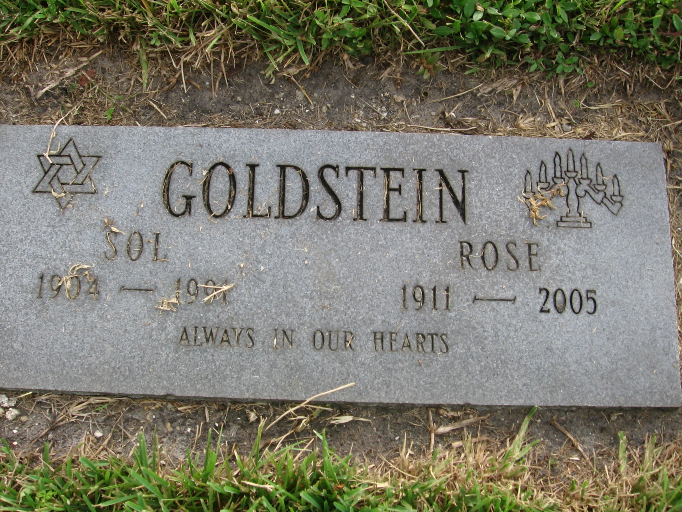 Rose Goldstein